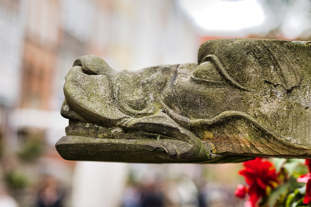 Una estatua de un león