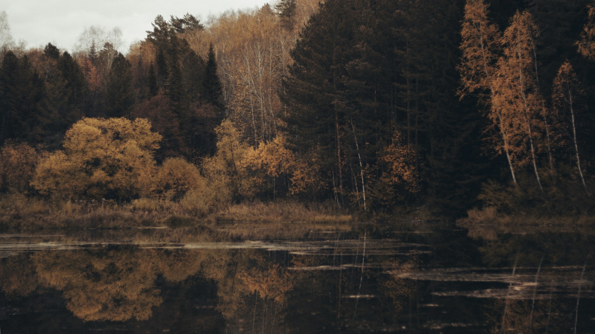 a lake surrounded by trees