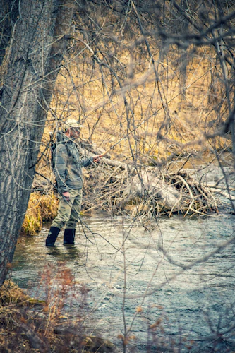Fly fishing a brushy South Platte feeder during the spring stonefly window