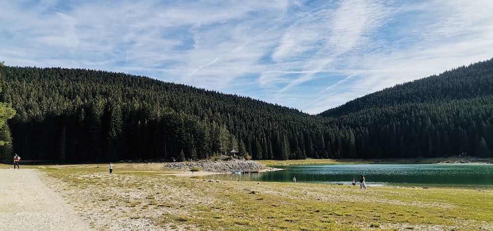 a group of people walking on a path by Quake Lake and trees