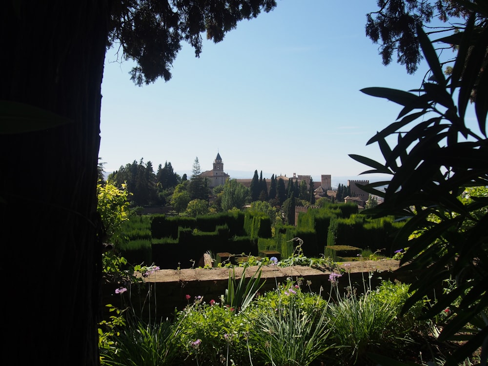 a garden with a building in the background