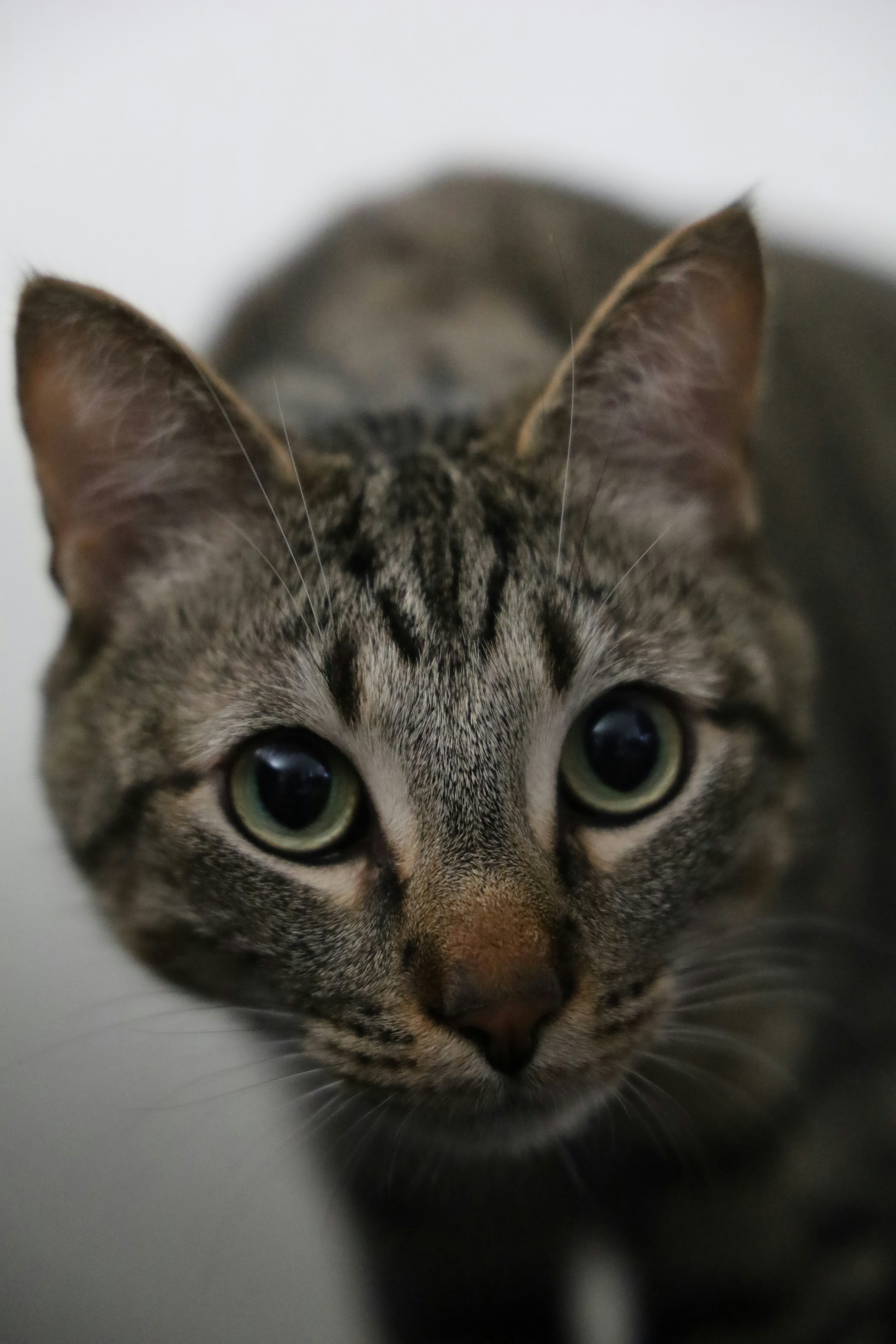 Photo by joicerivasm