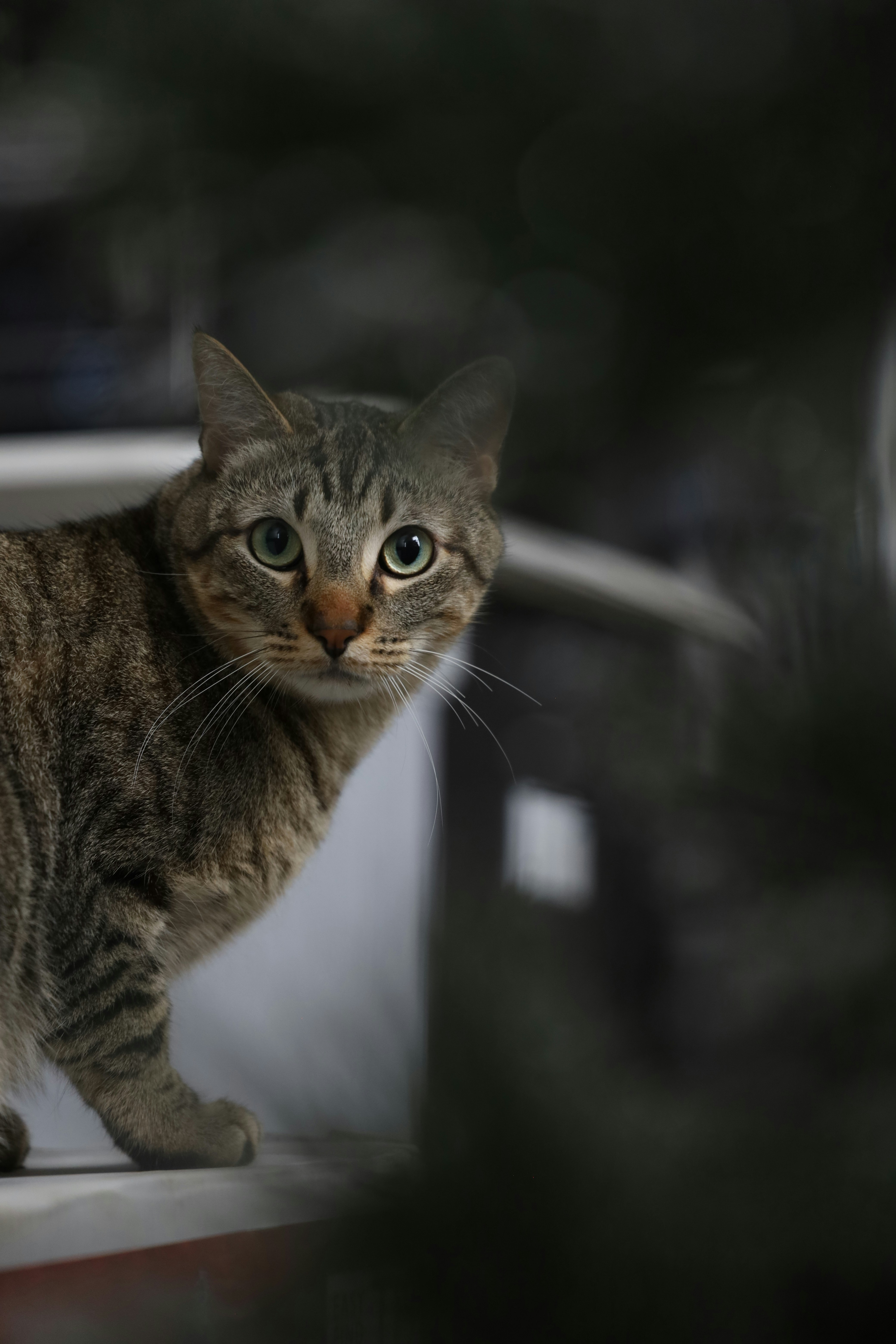 Photo by joicerivasm