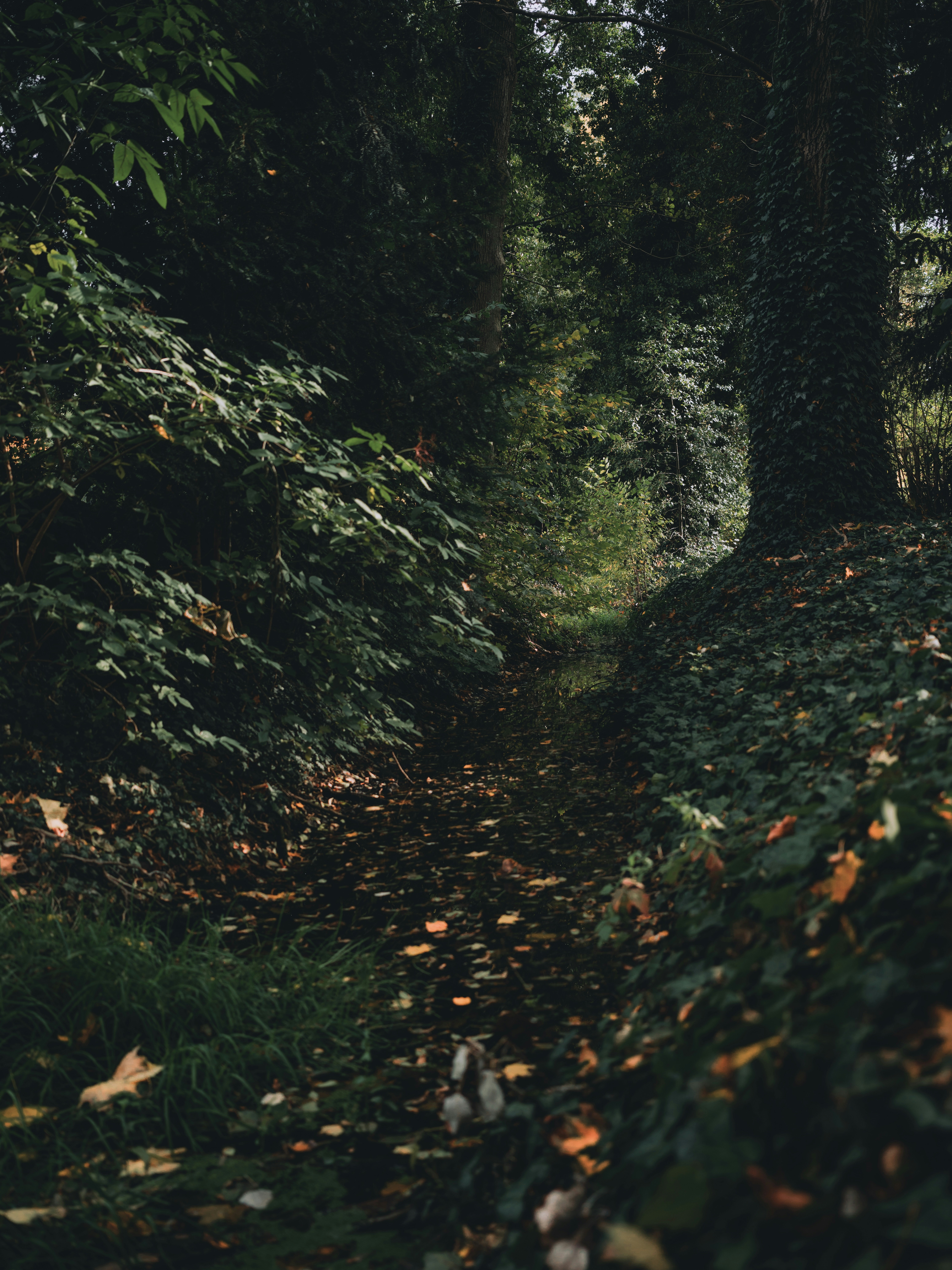 Photo by egorkomarov