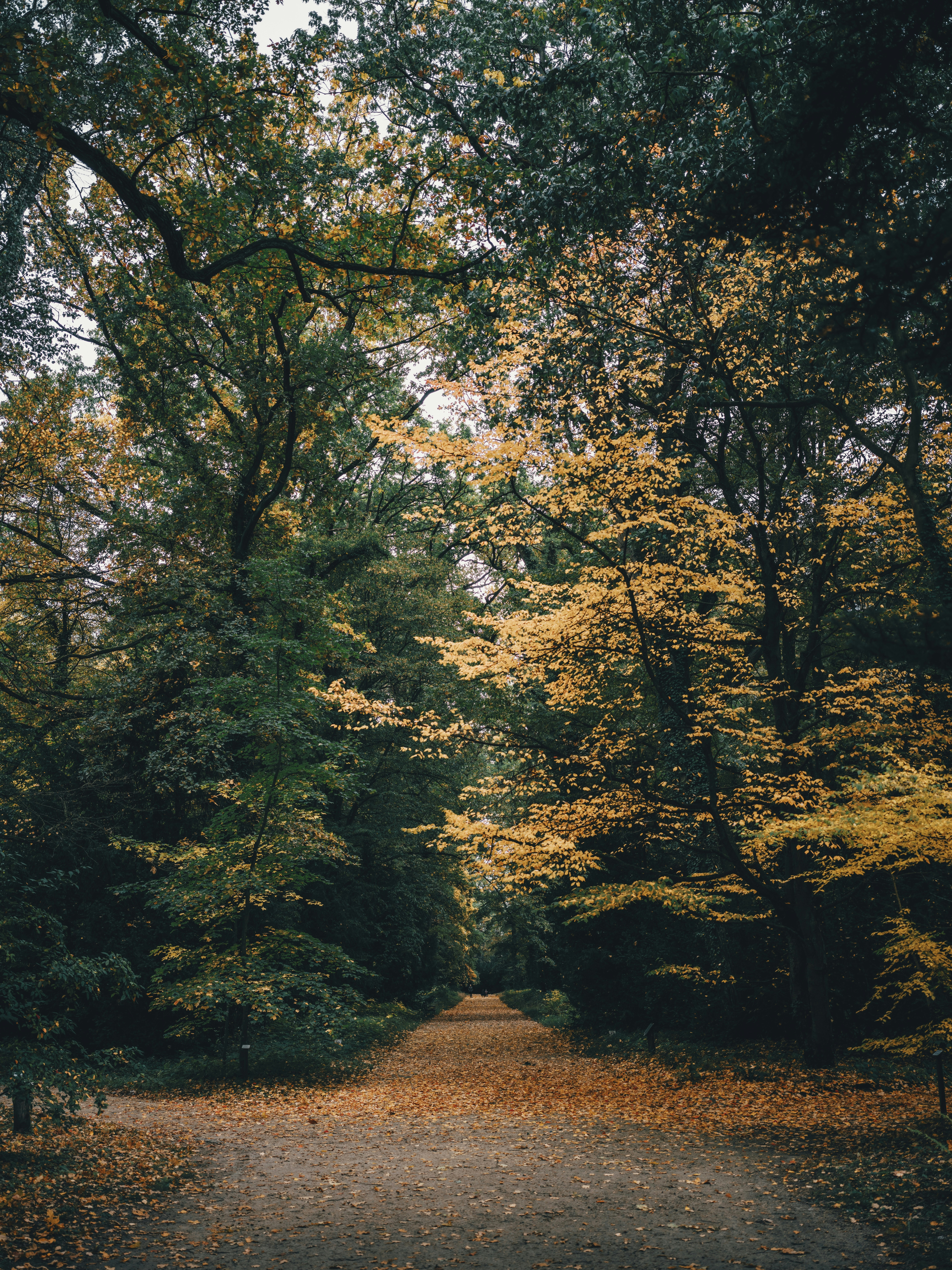 Photo by egorkomarov