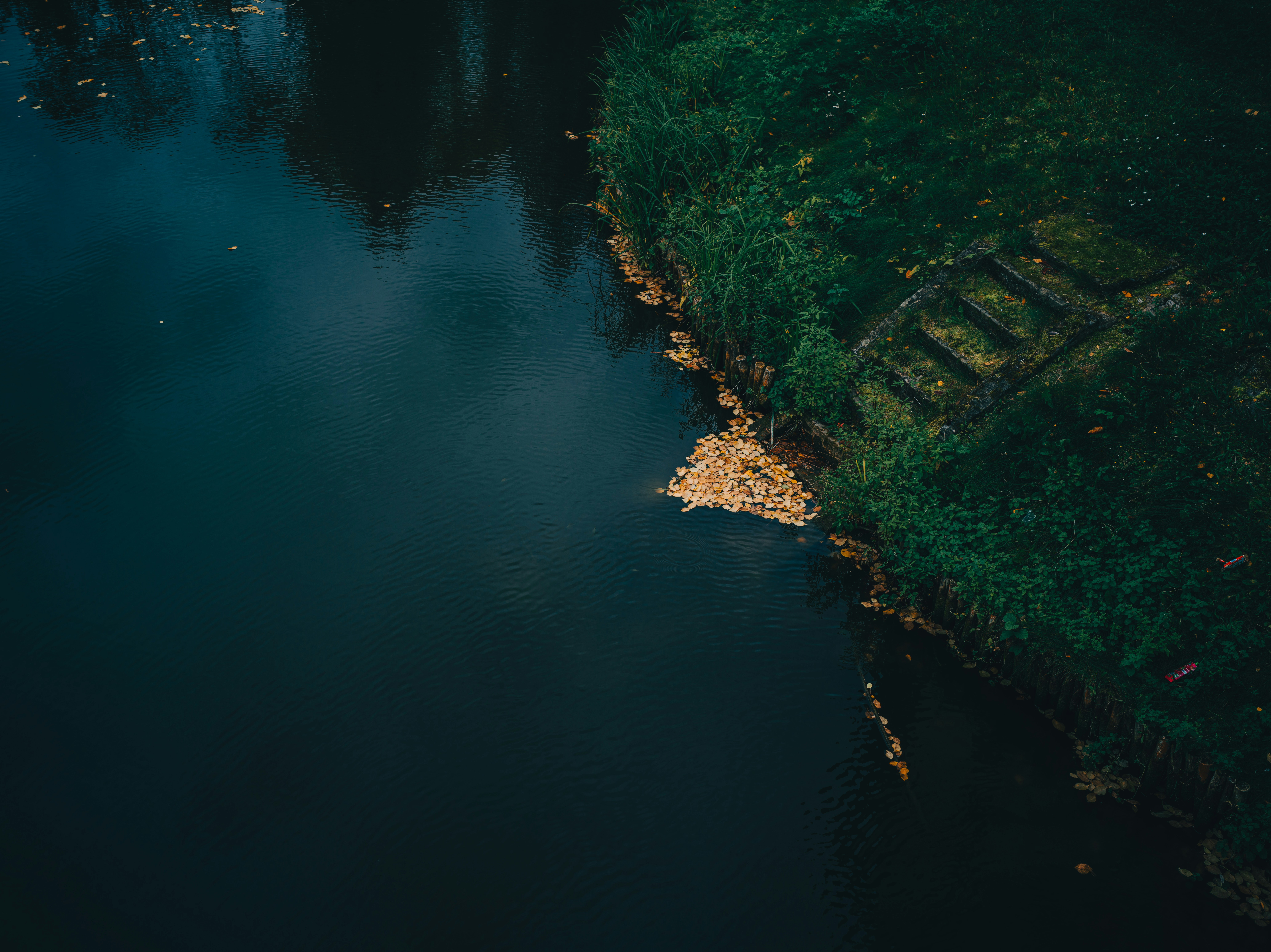 Photo by egorkomarov