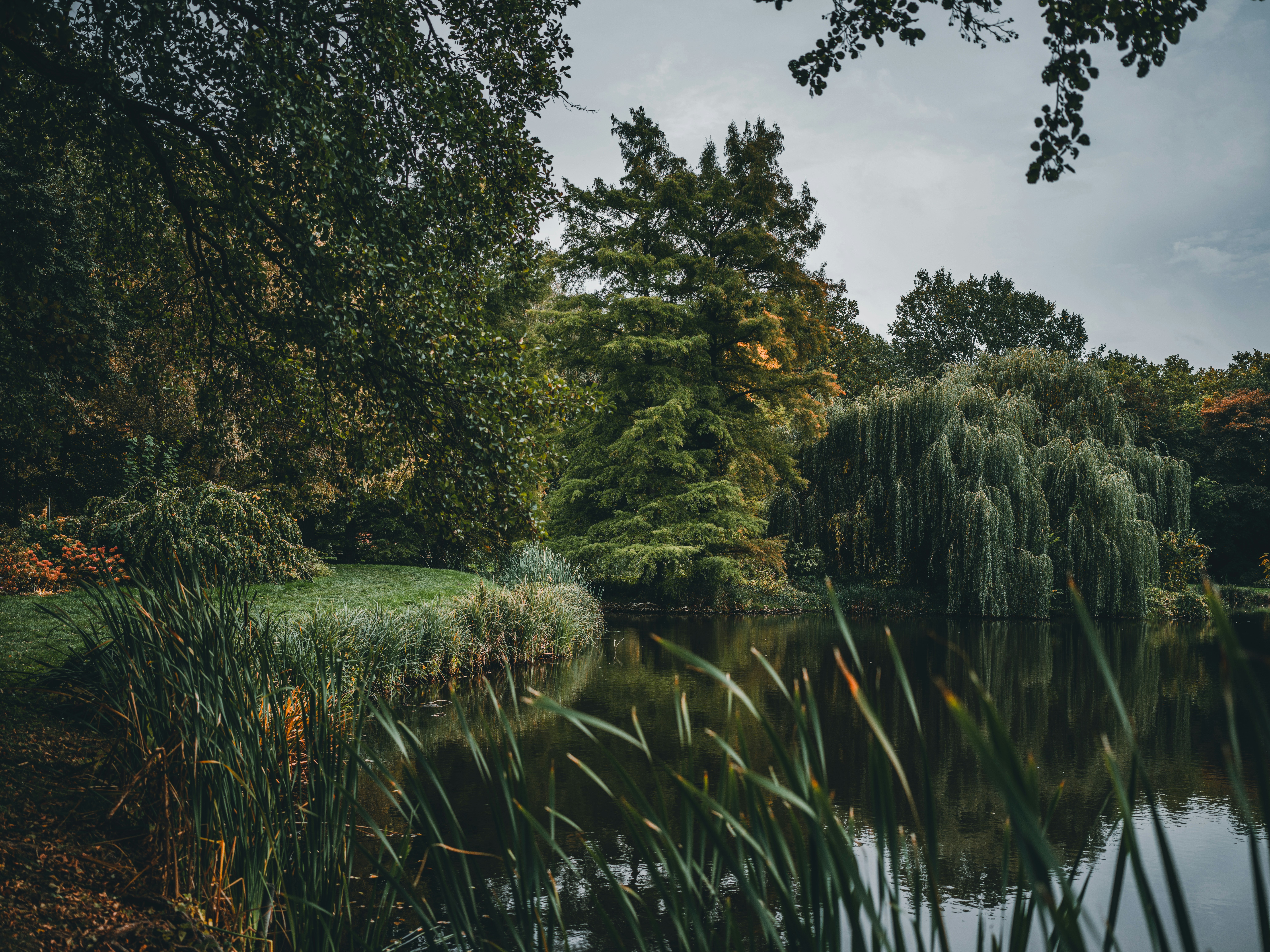 Photo by egorkomarov