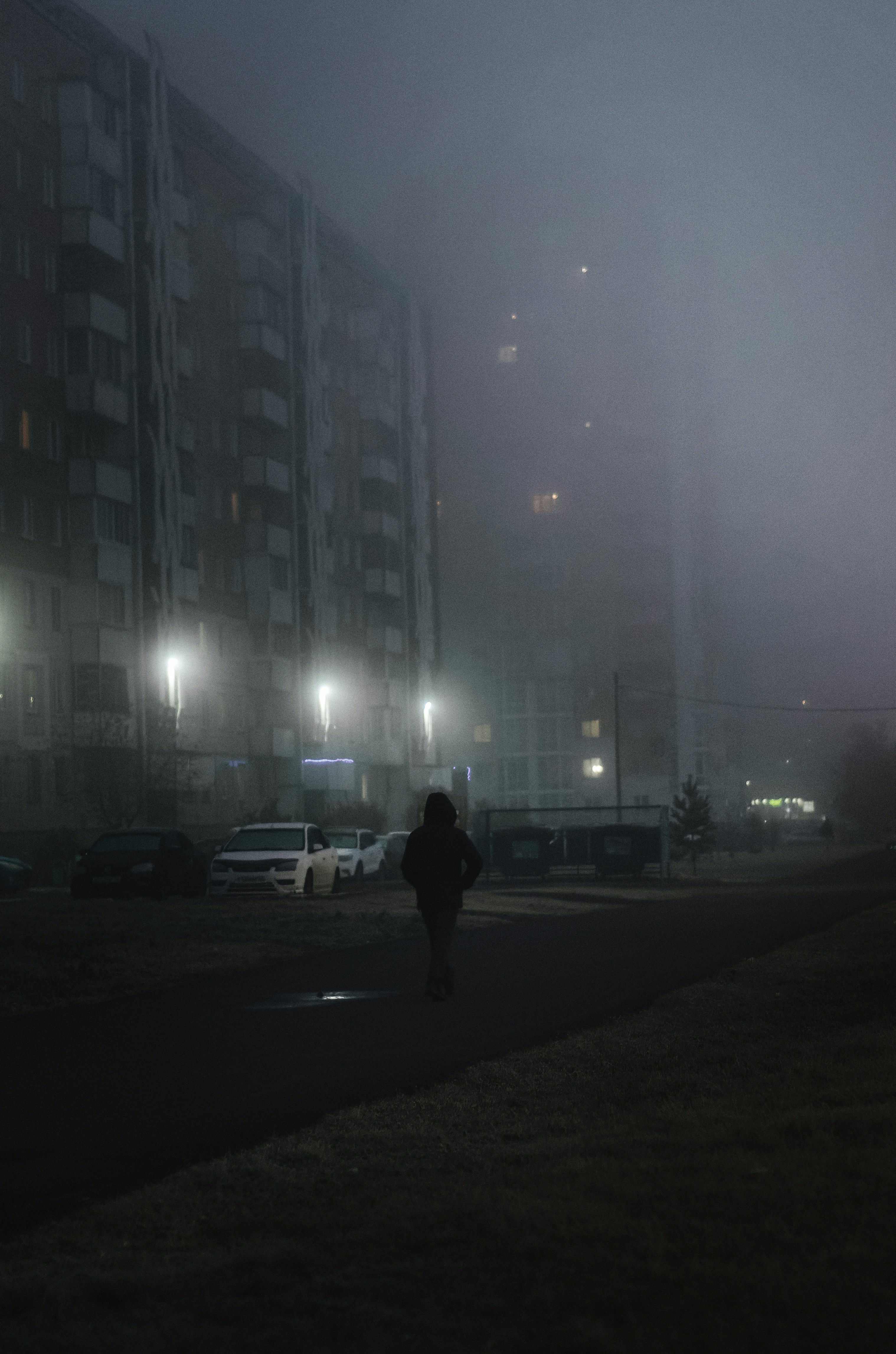 Photo by litvinov