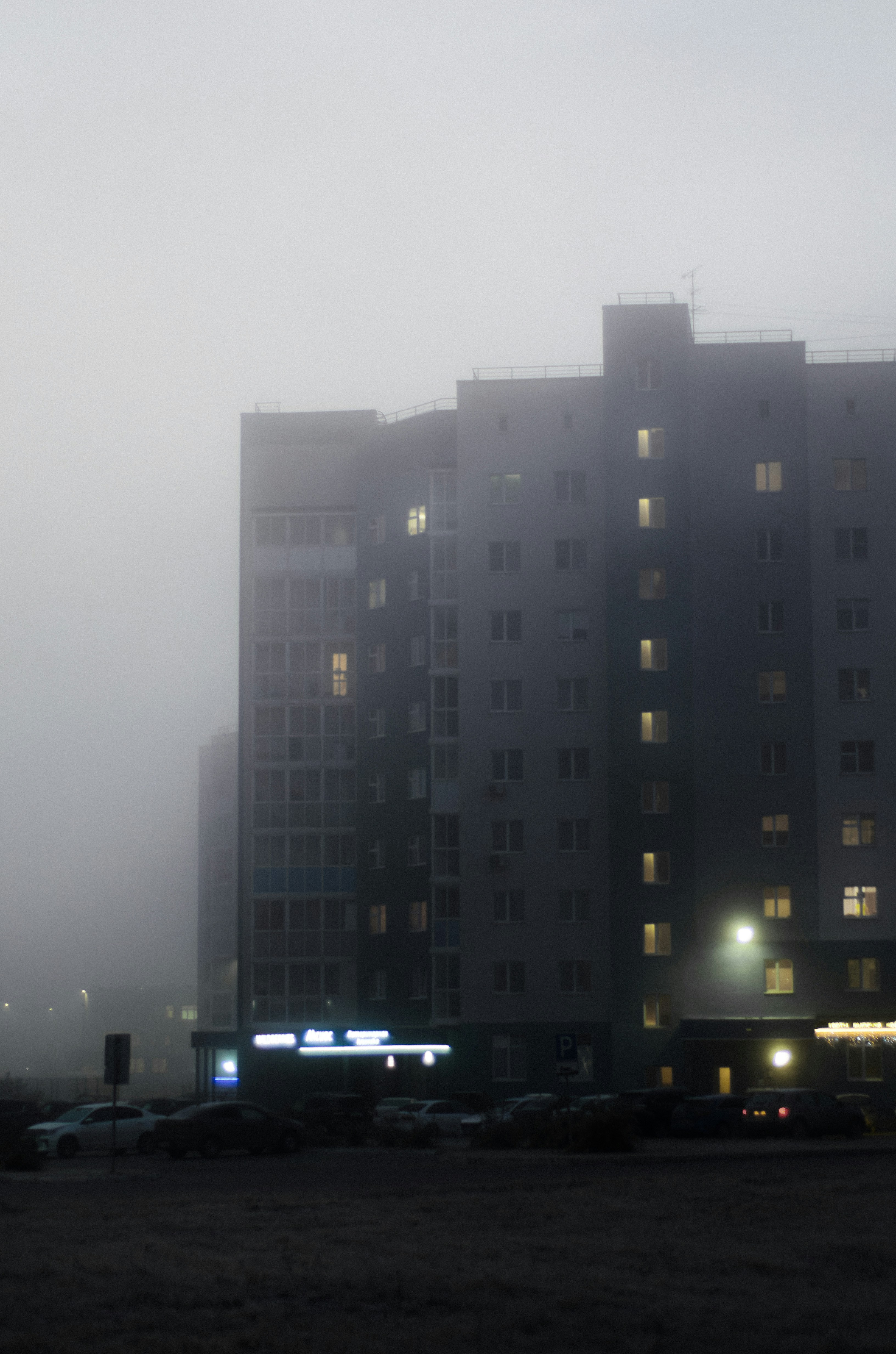 Photo by litvinov