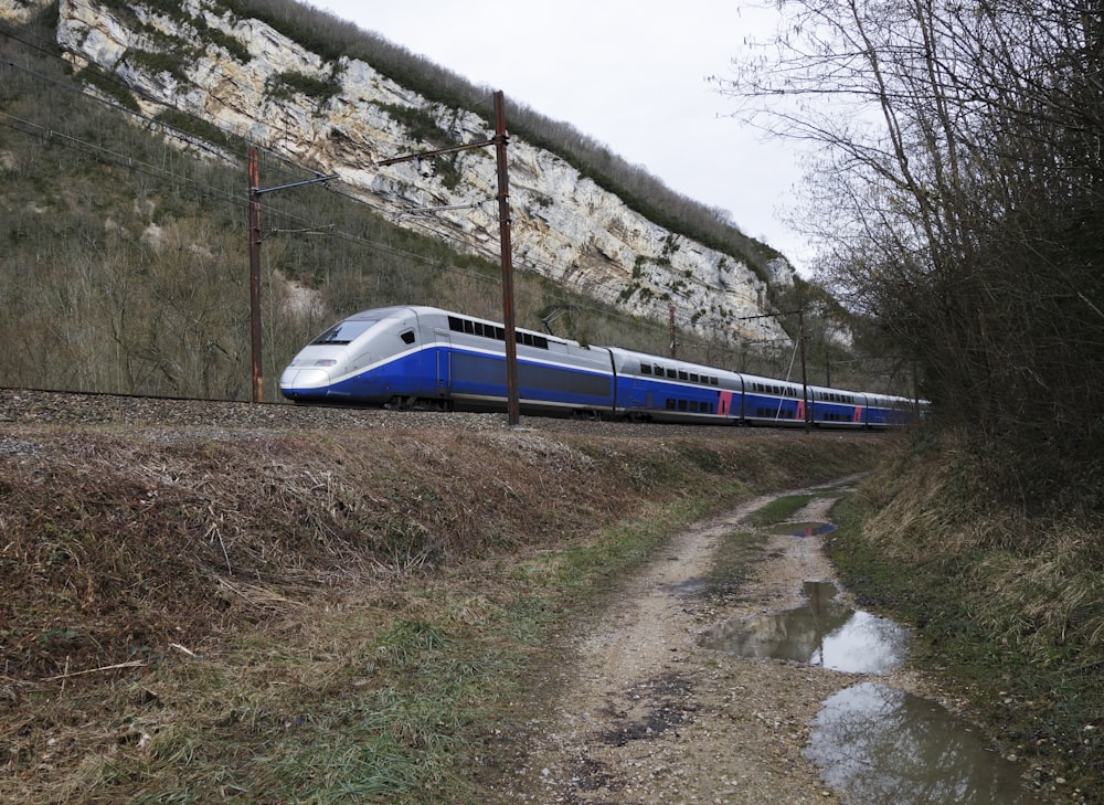 a train on the railway tracks