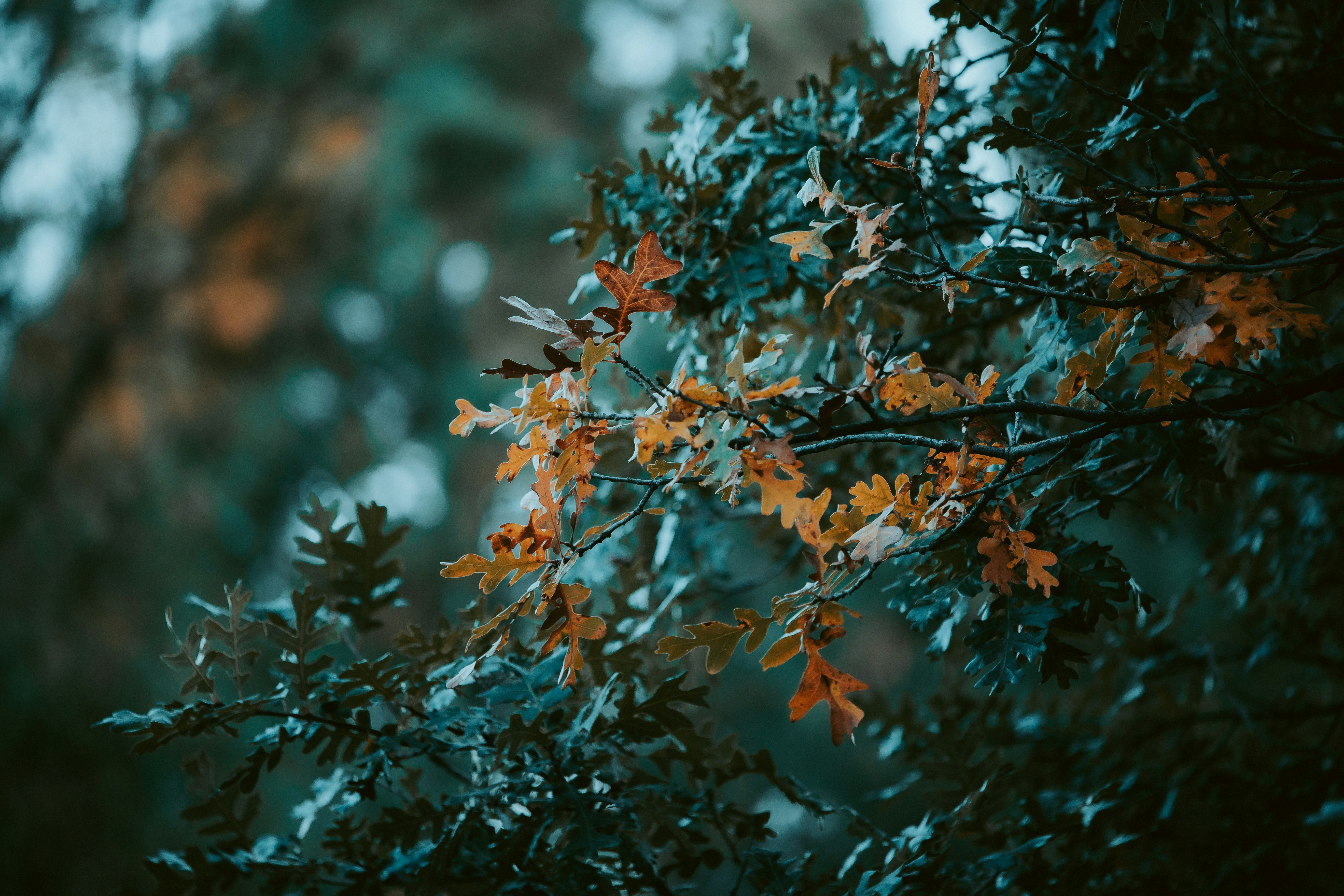 Photo by jeffersonsees