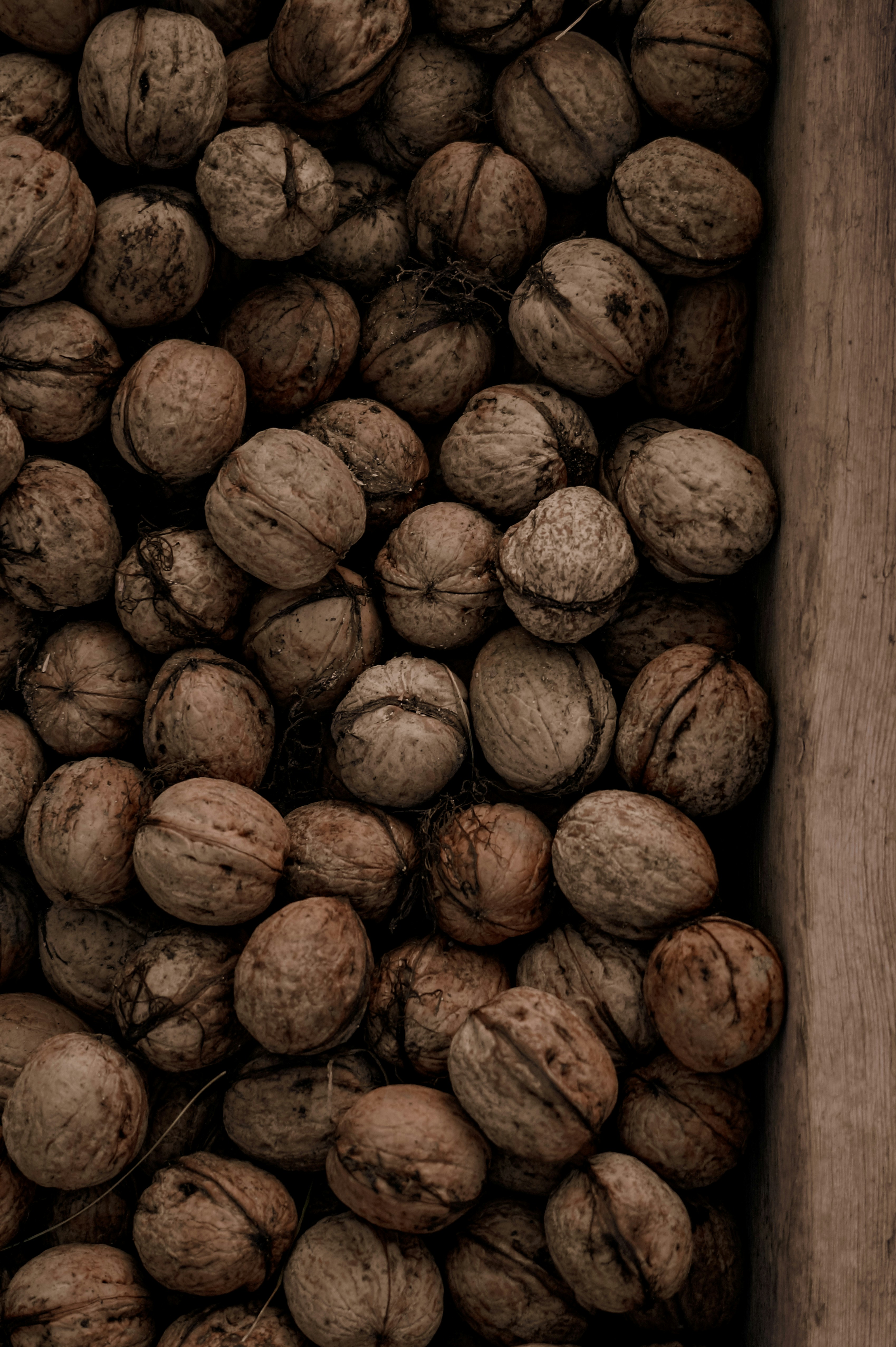 Photo by valentine_ivanova