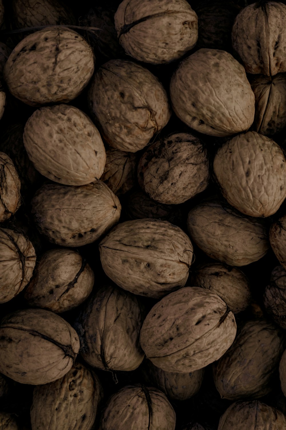 a pile of brown nuts