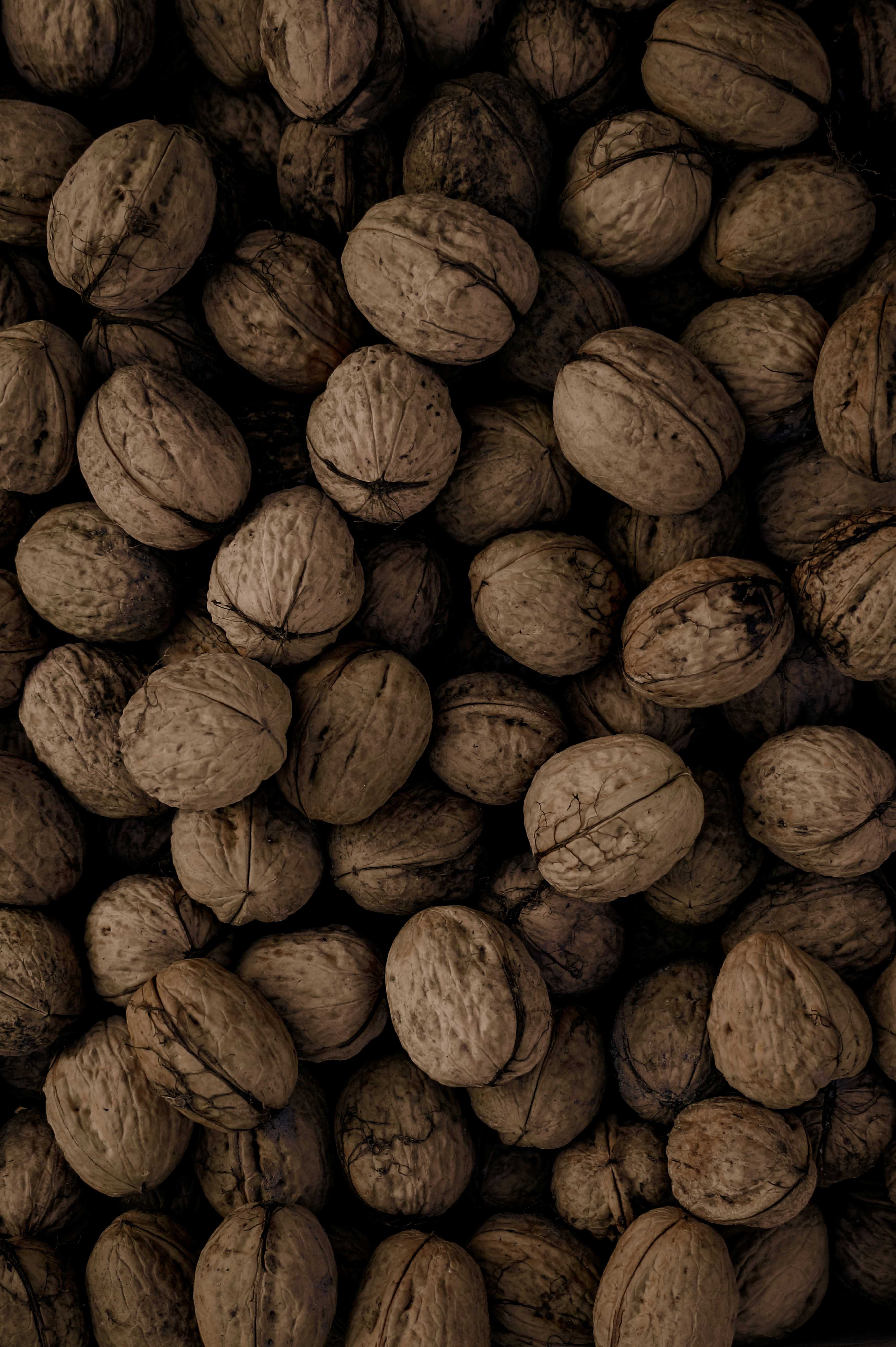 Photo by valentine_ivanova