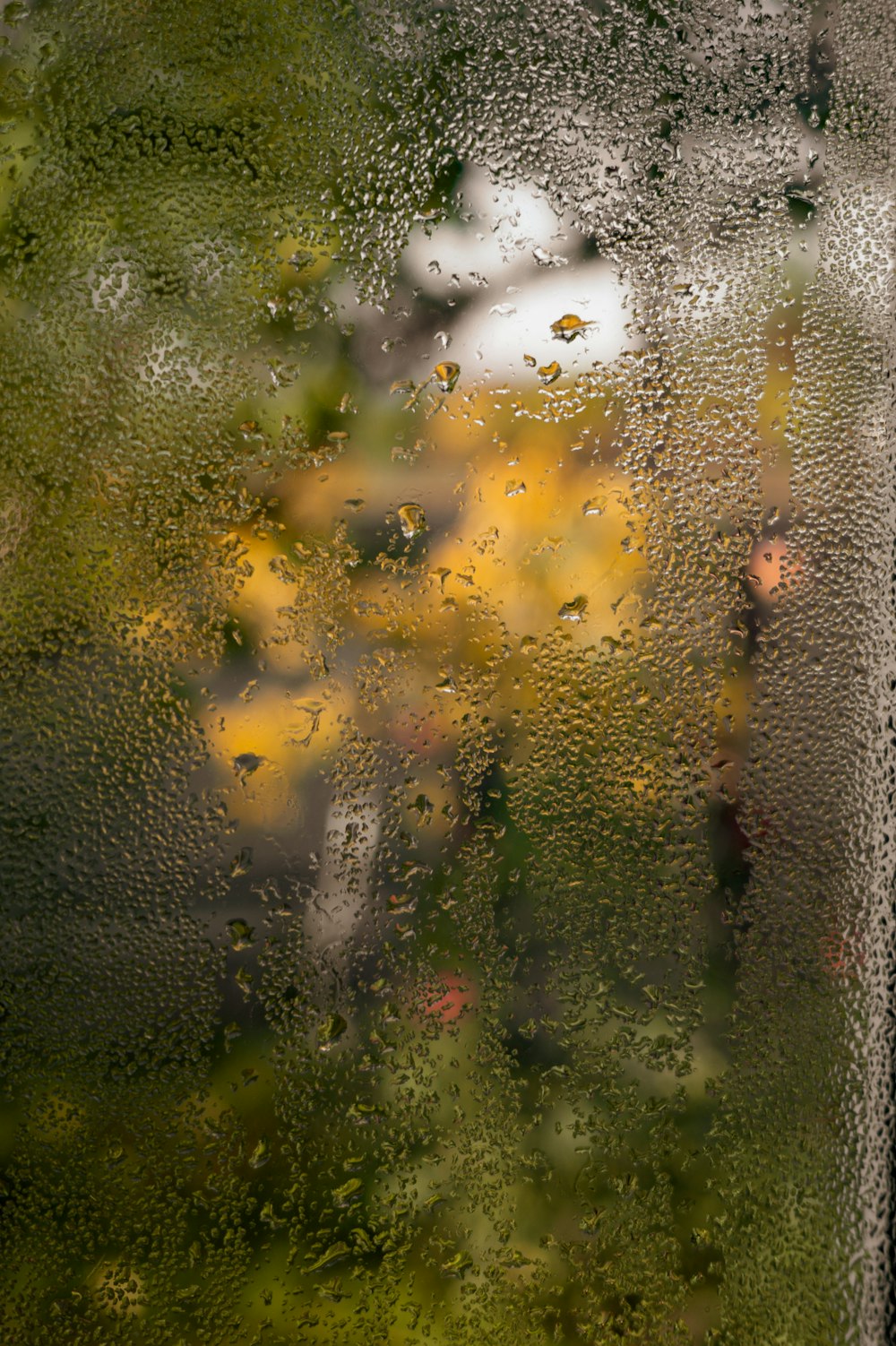 Un primer plano de una flor está de pie bajo la lluvia