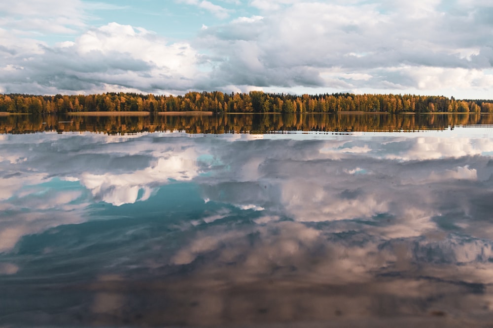 a body of water with trees in the background