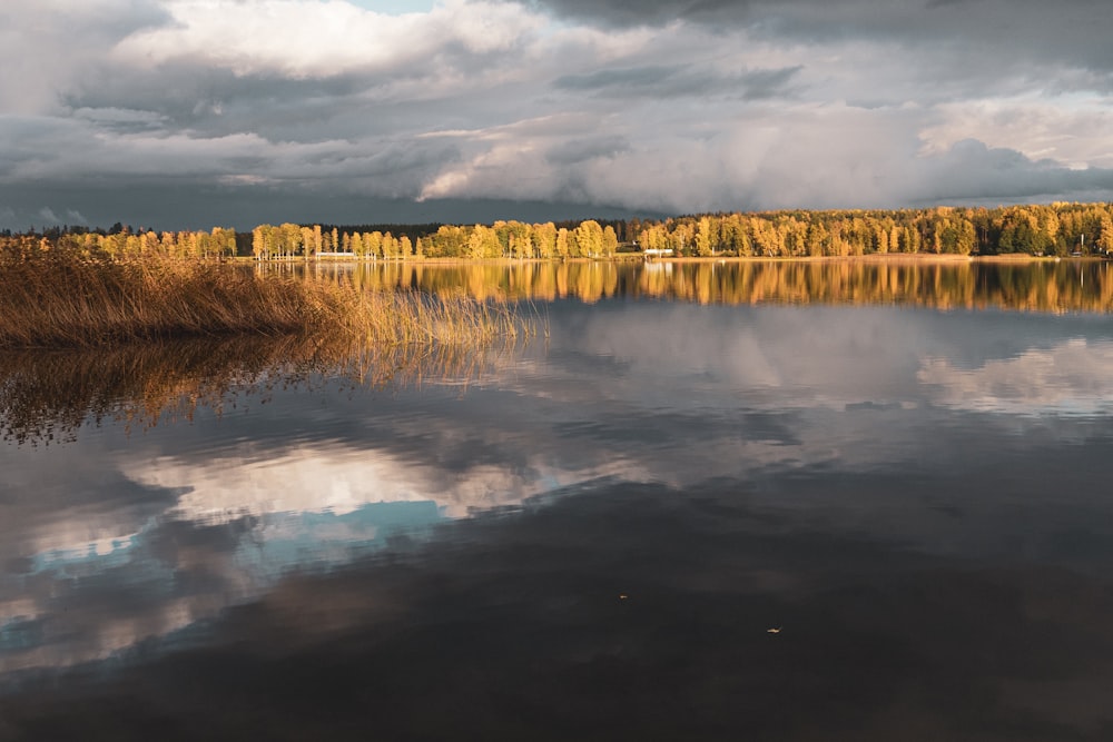 a body of water with trees and grass around it