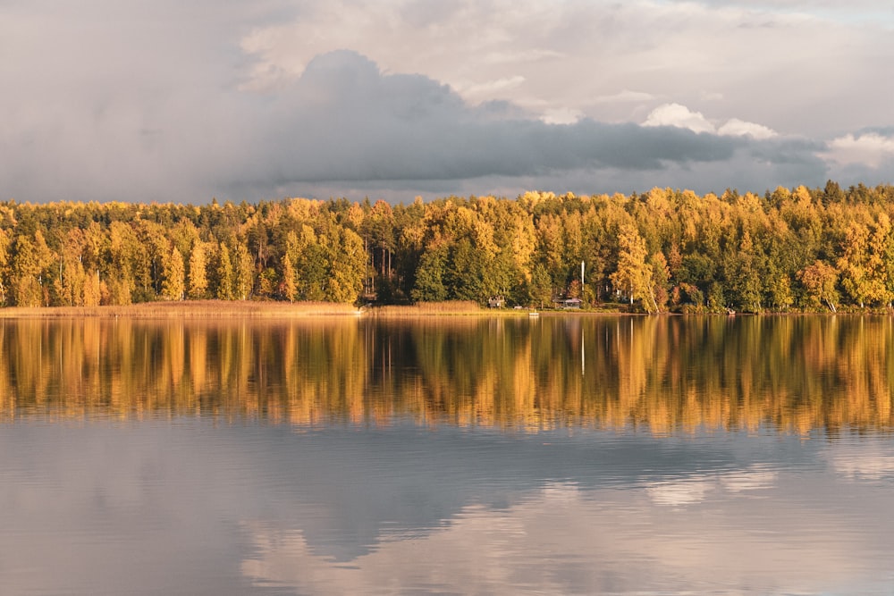 a lake with trees and clouds in the sky