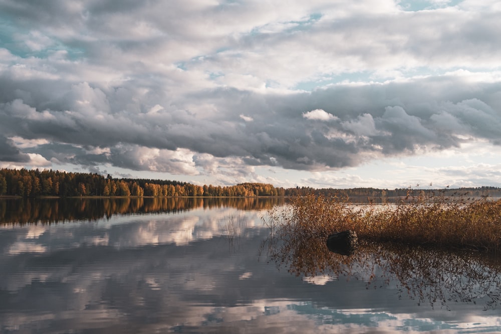 a body of water with trees and clouds above it