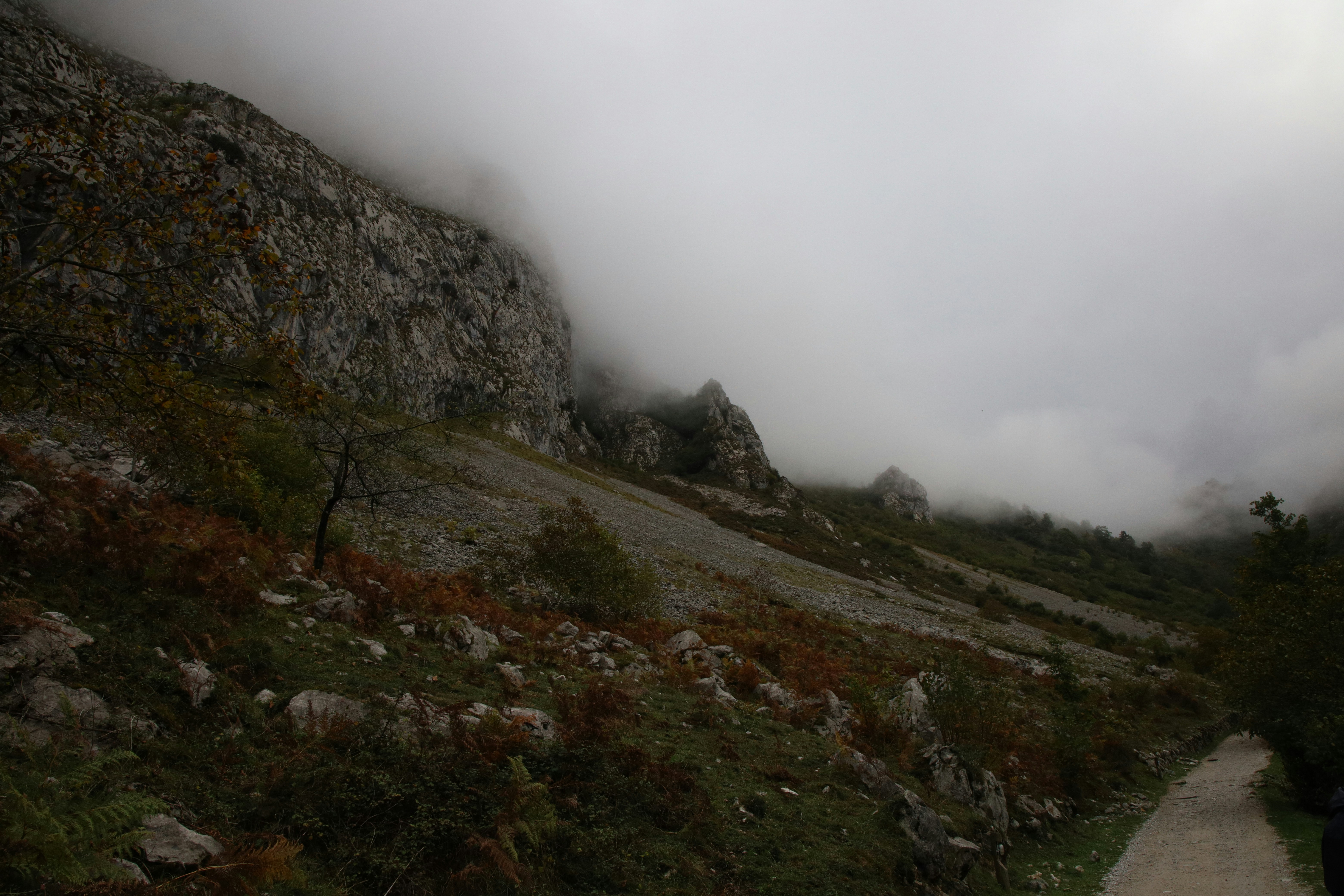 Photo by lapuertagela