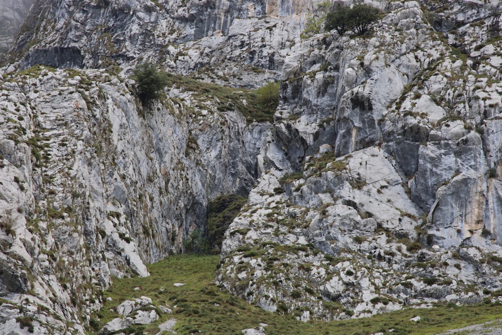 a rocky cliff side