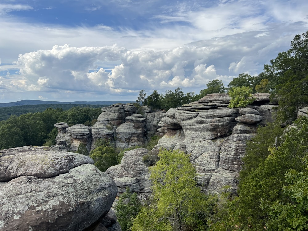 a rocky cliff with trees and blue sky