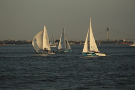 a group of sailboats on the water