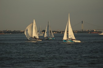 a group of sailboats on the water
