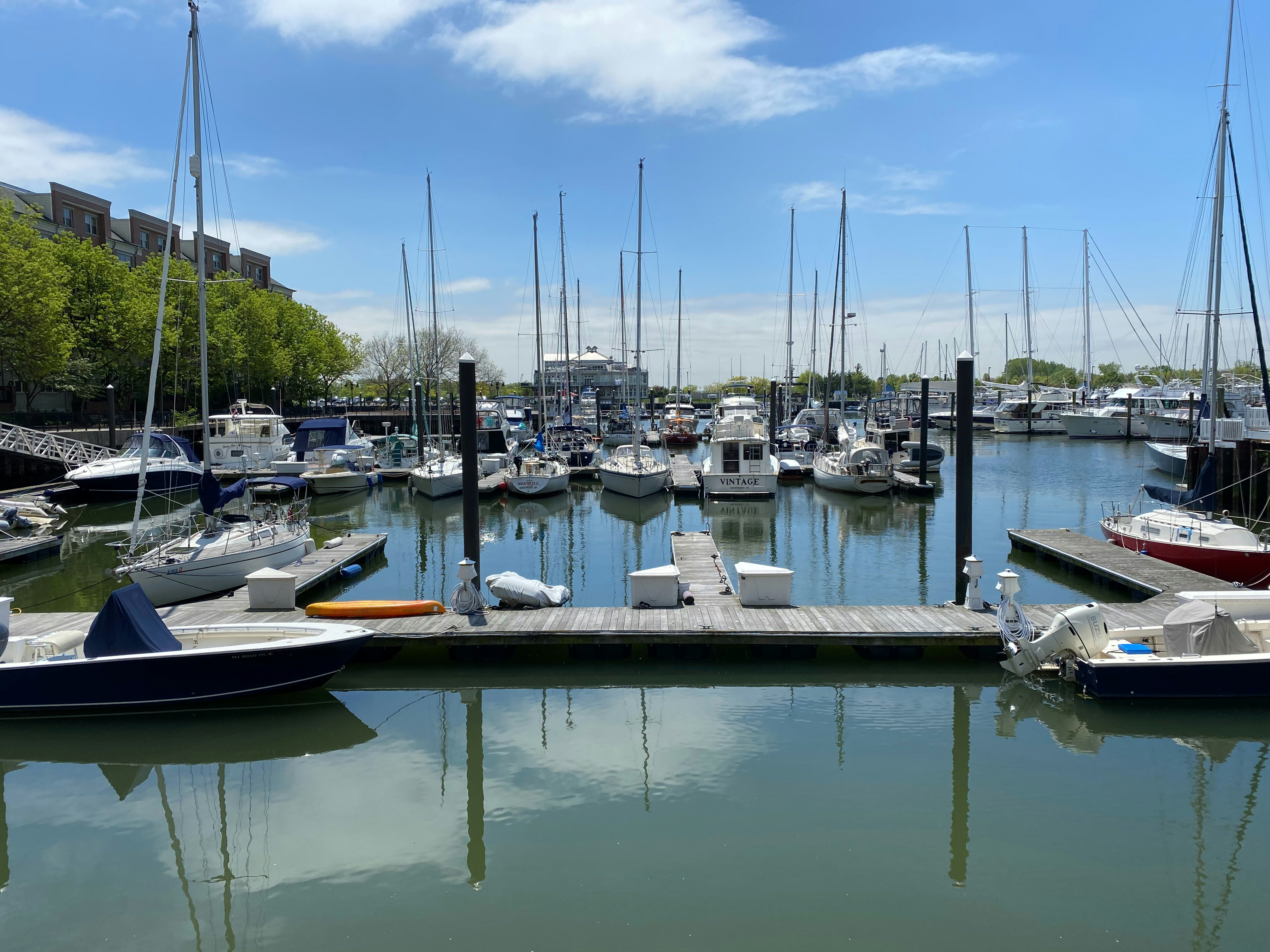 Photo by project_link