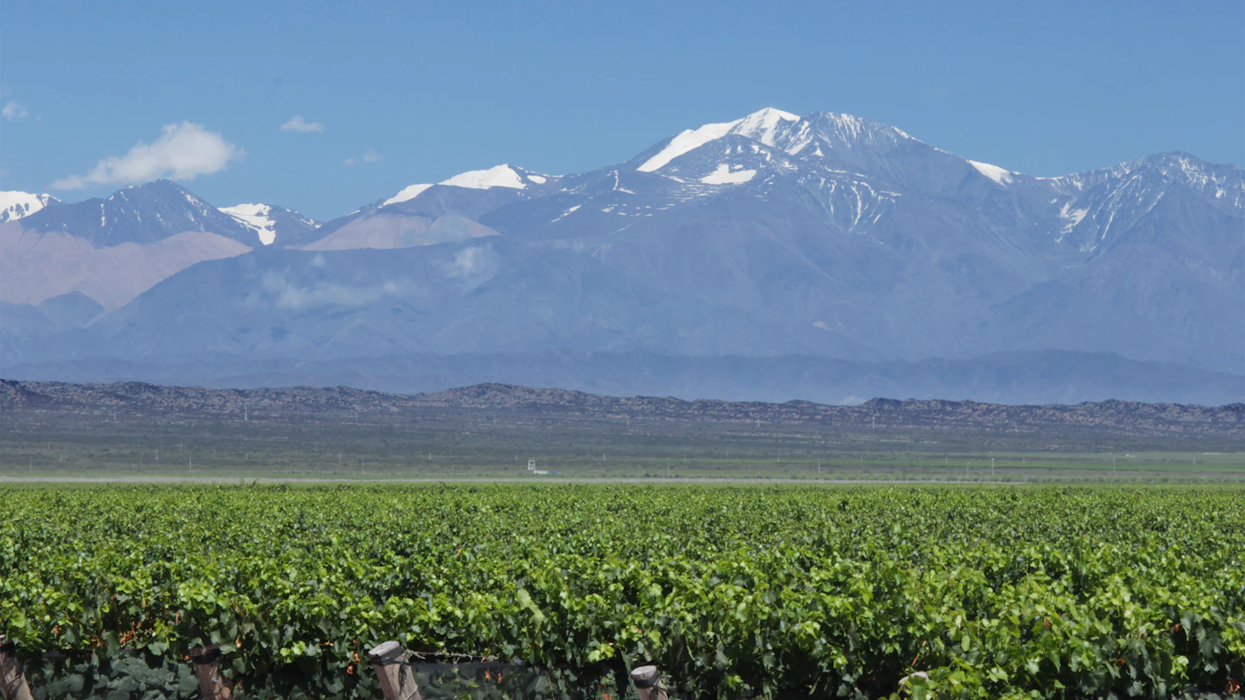 Mendoza, Argentine