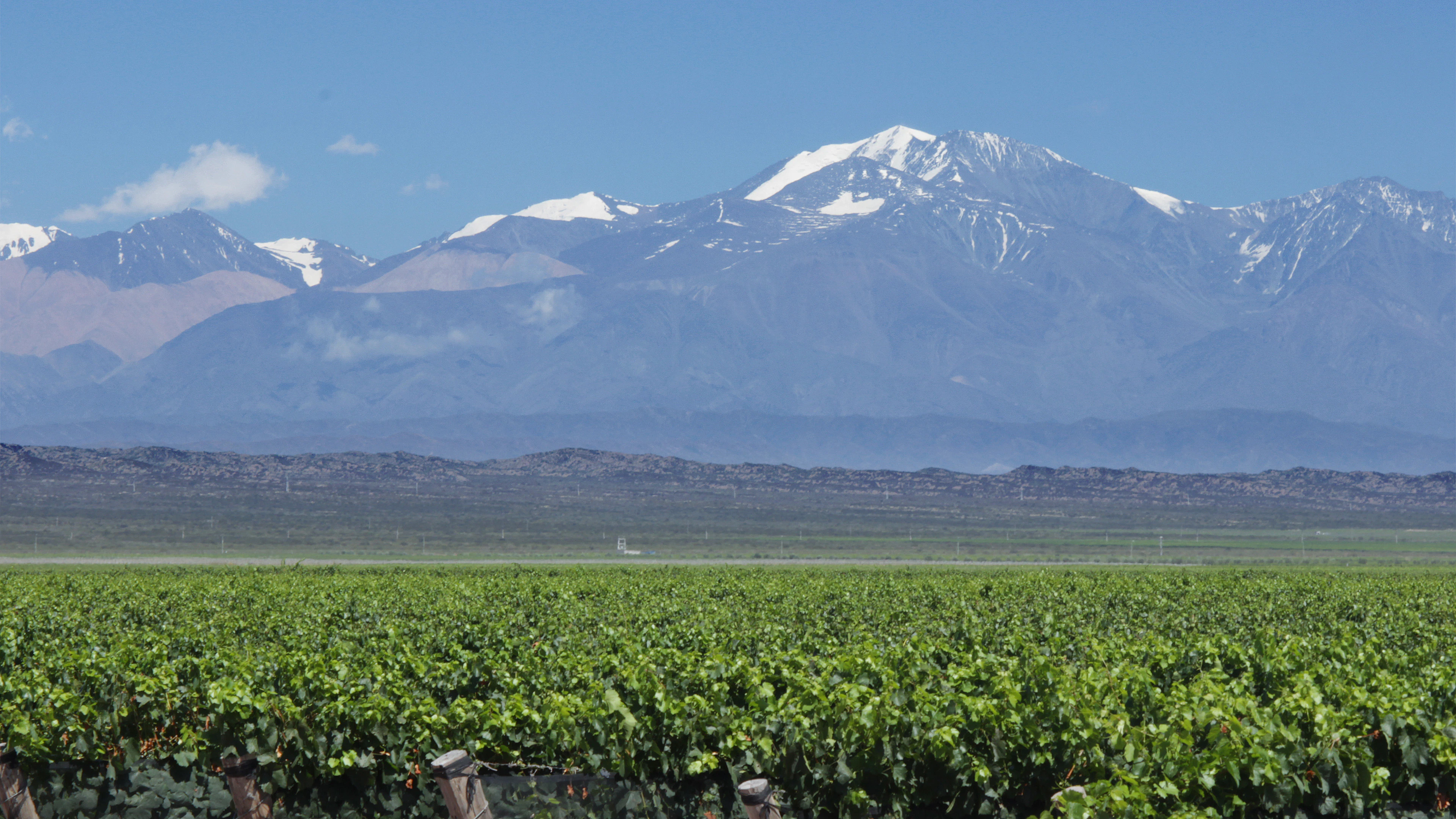 Salta culture