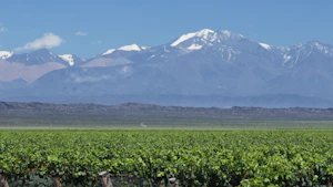 Mendoza