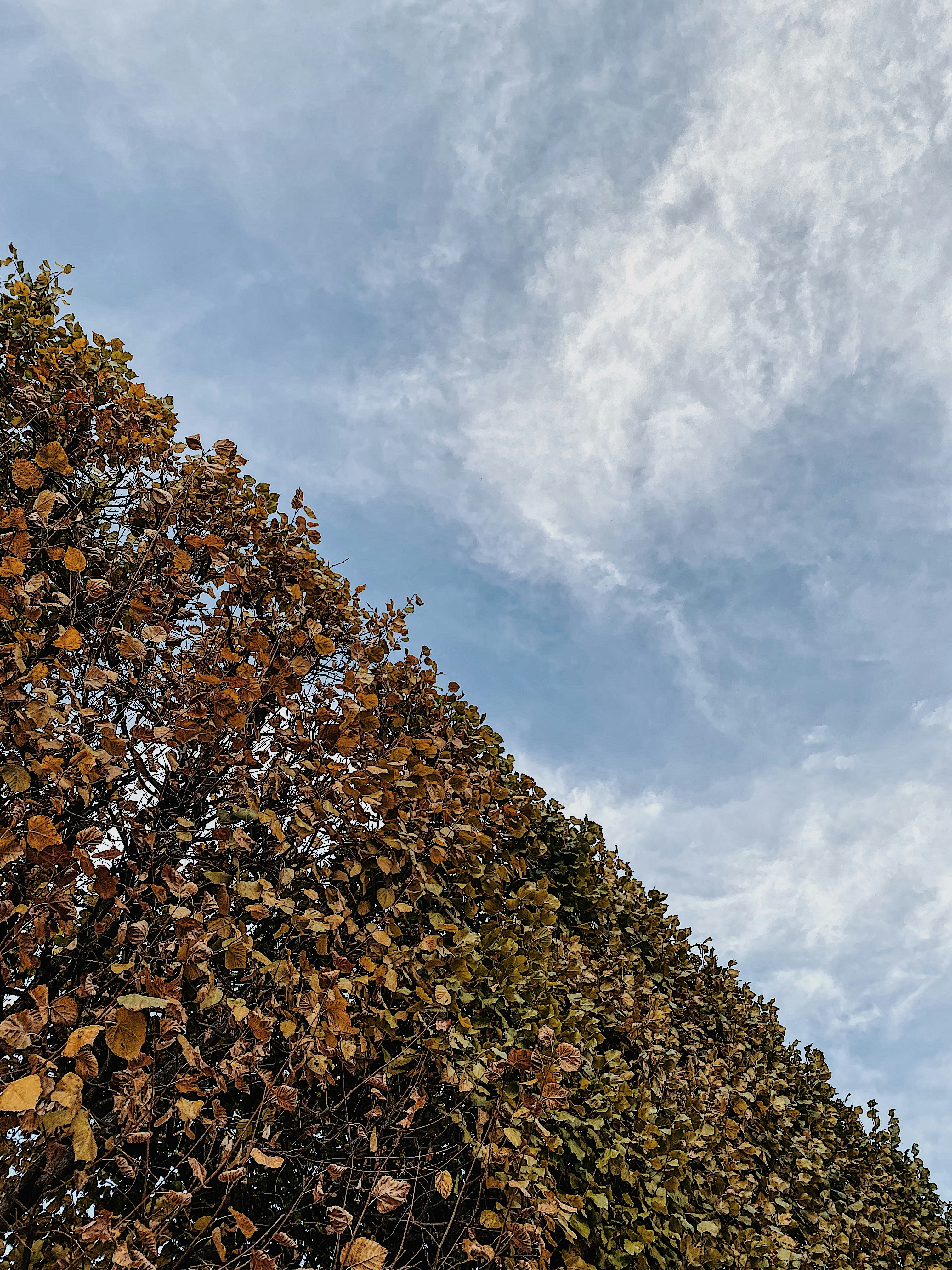 Photo by e_christensen