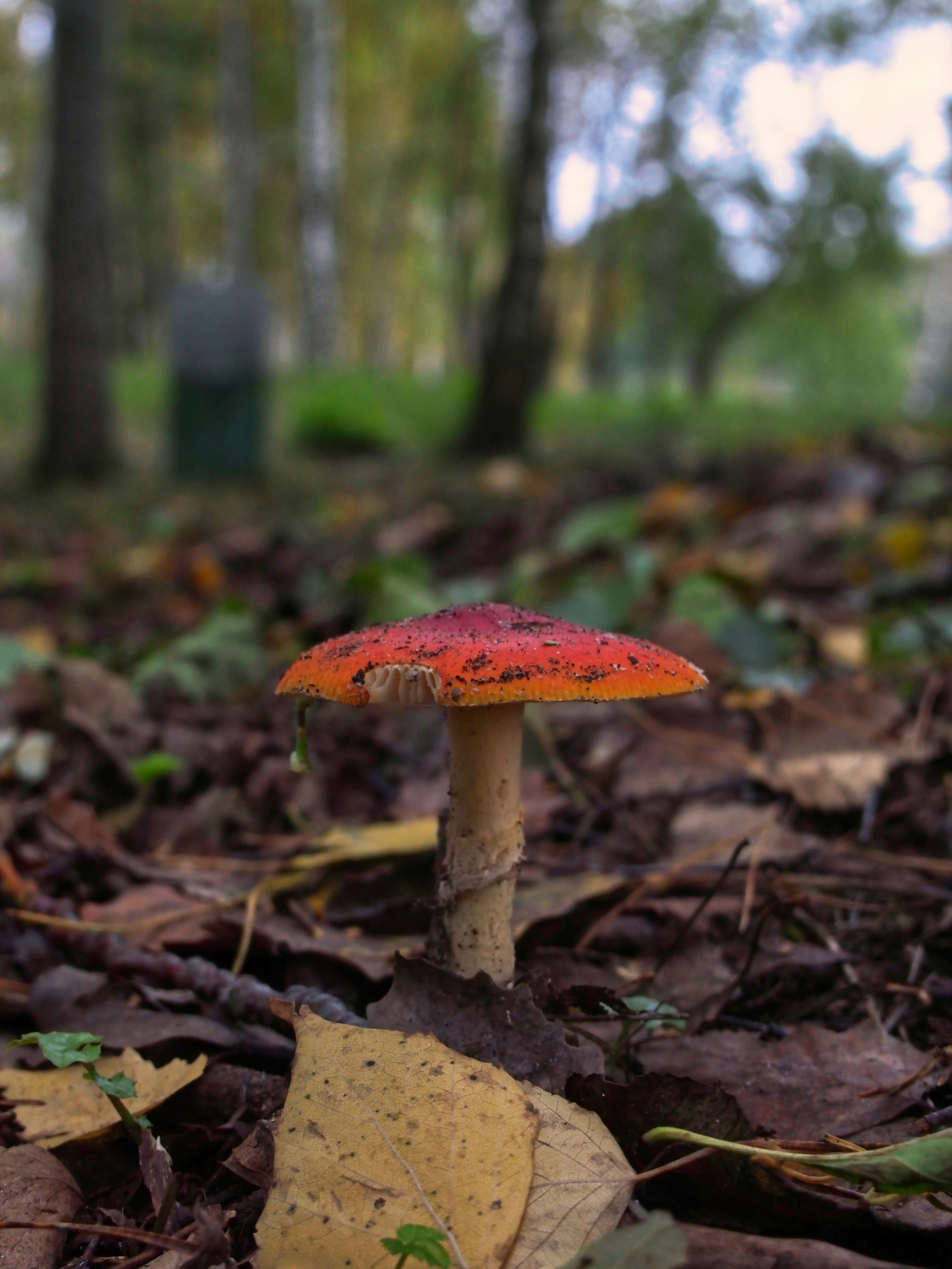 Photo by vinahradau