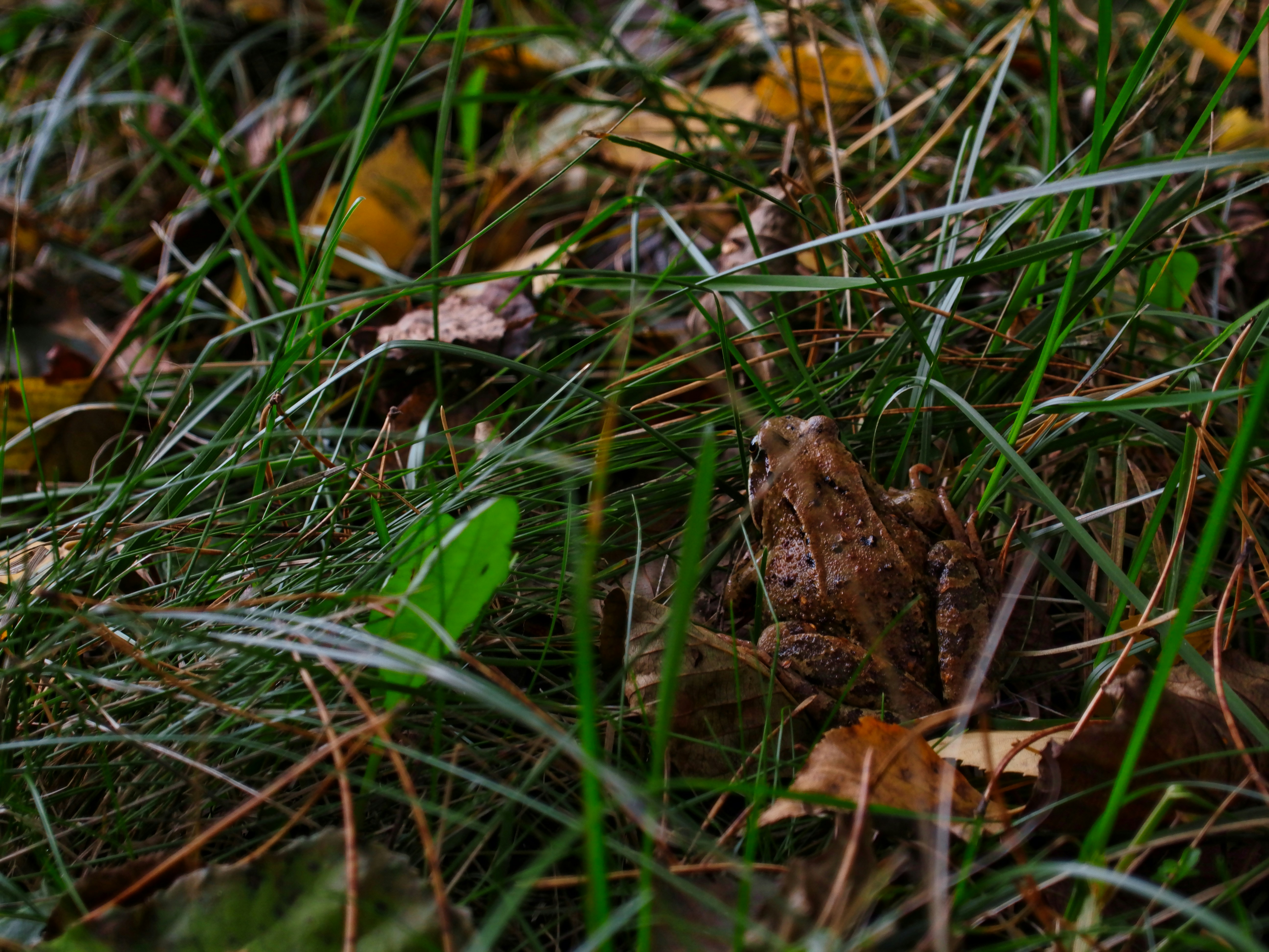 Photo by vinahradau