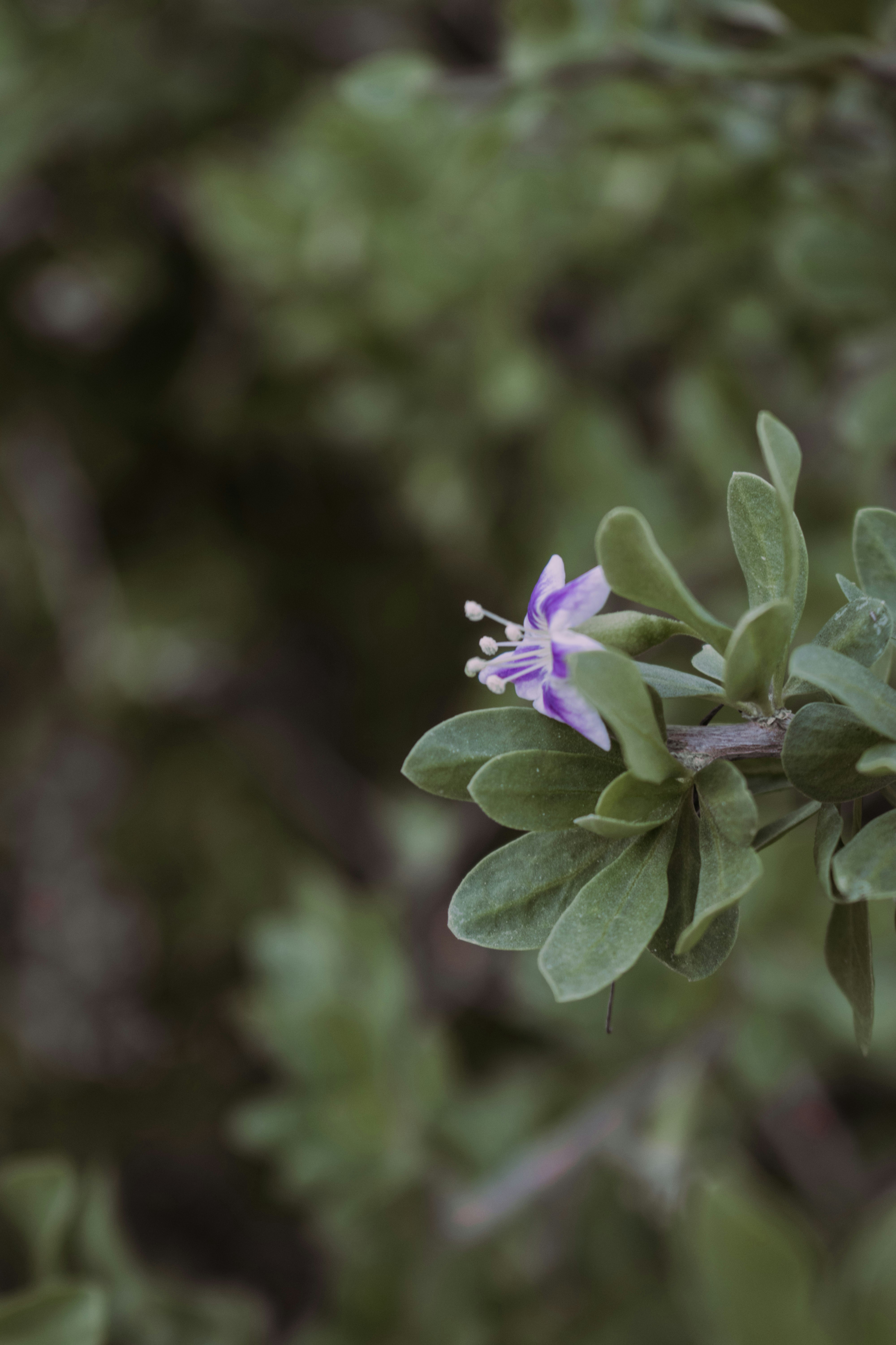 Photo by bilal_ayadi