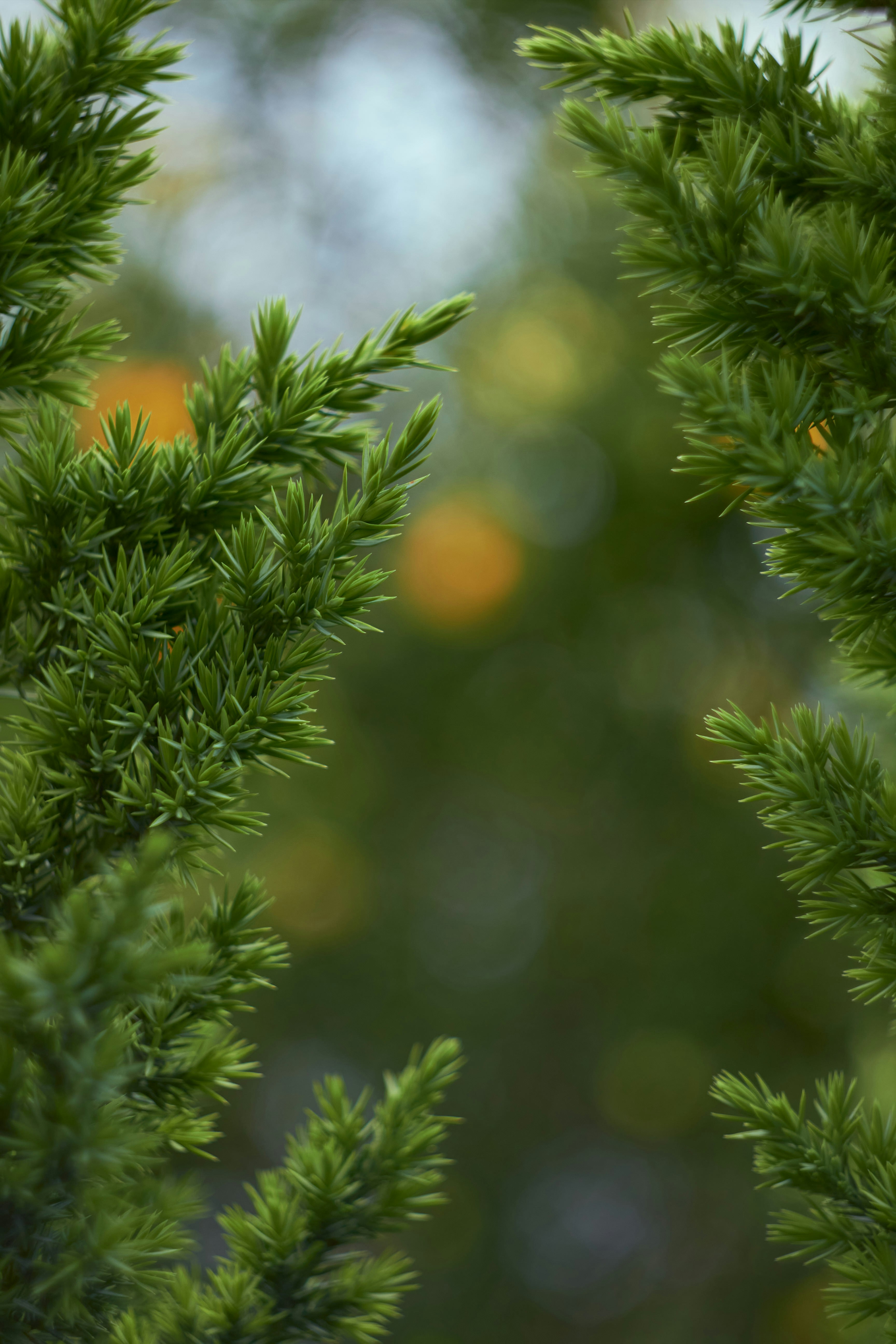 Photo by yana_eternal