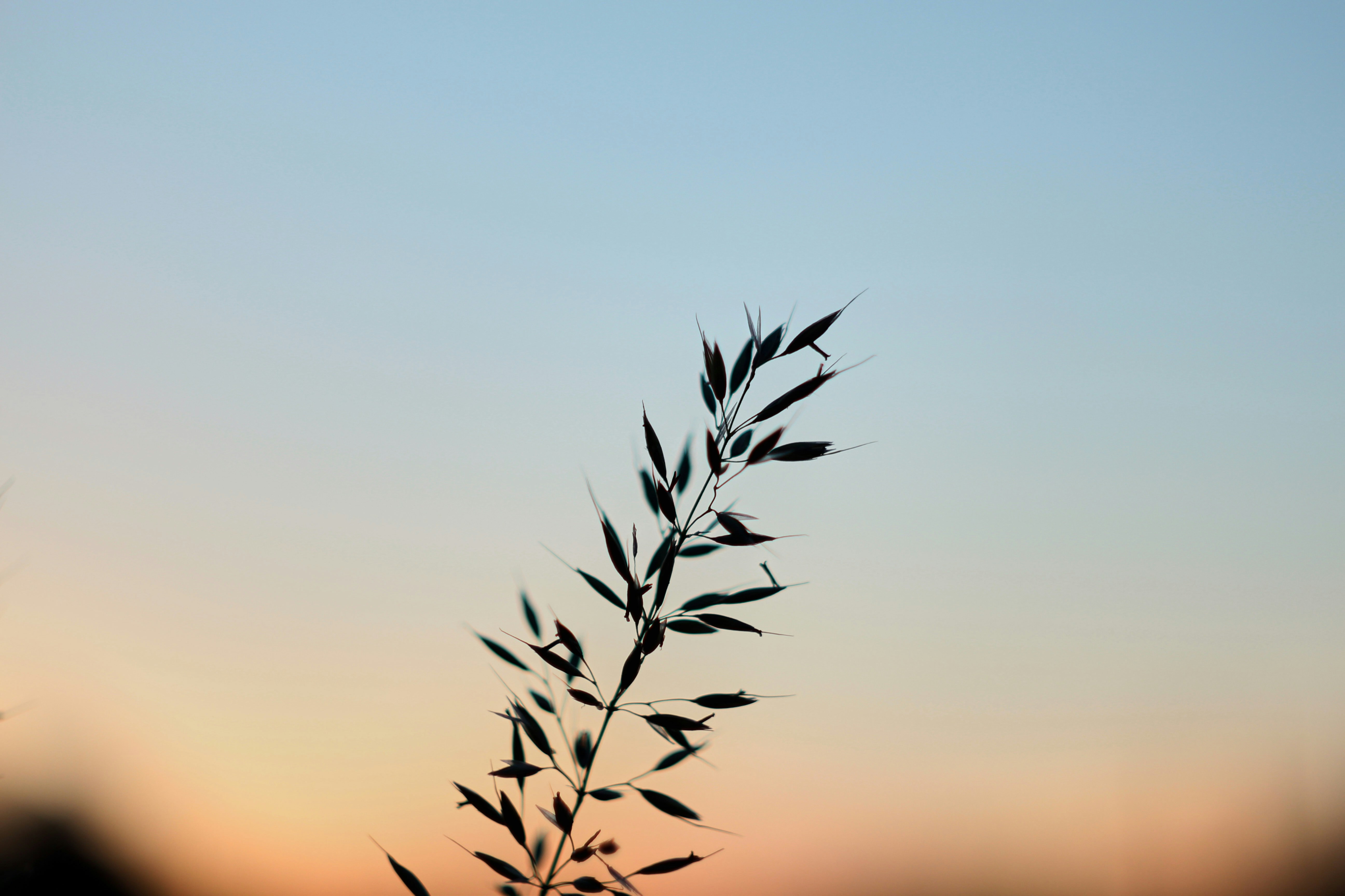 Photo by yana_eternal