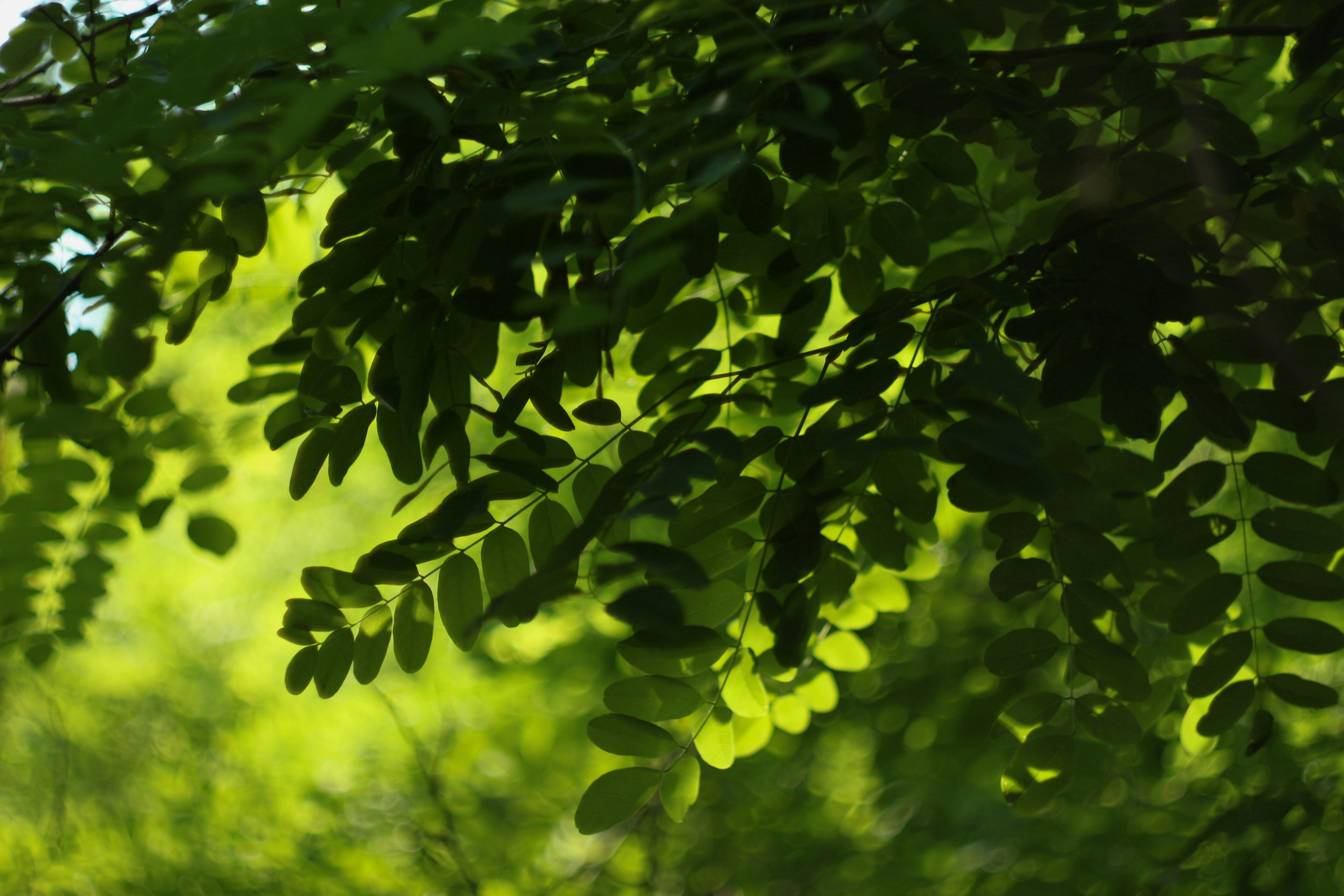 Photo by yana_eternal