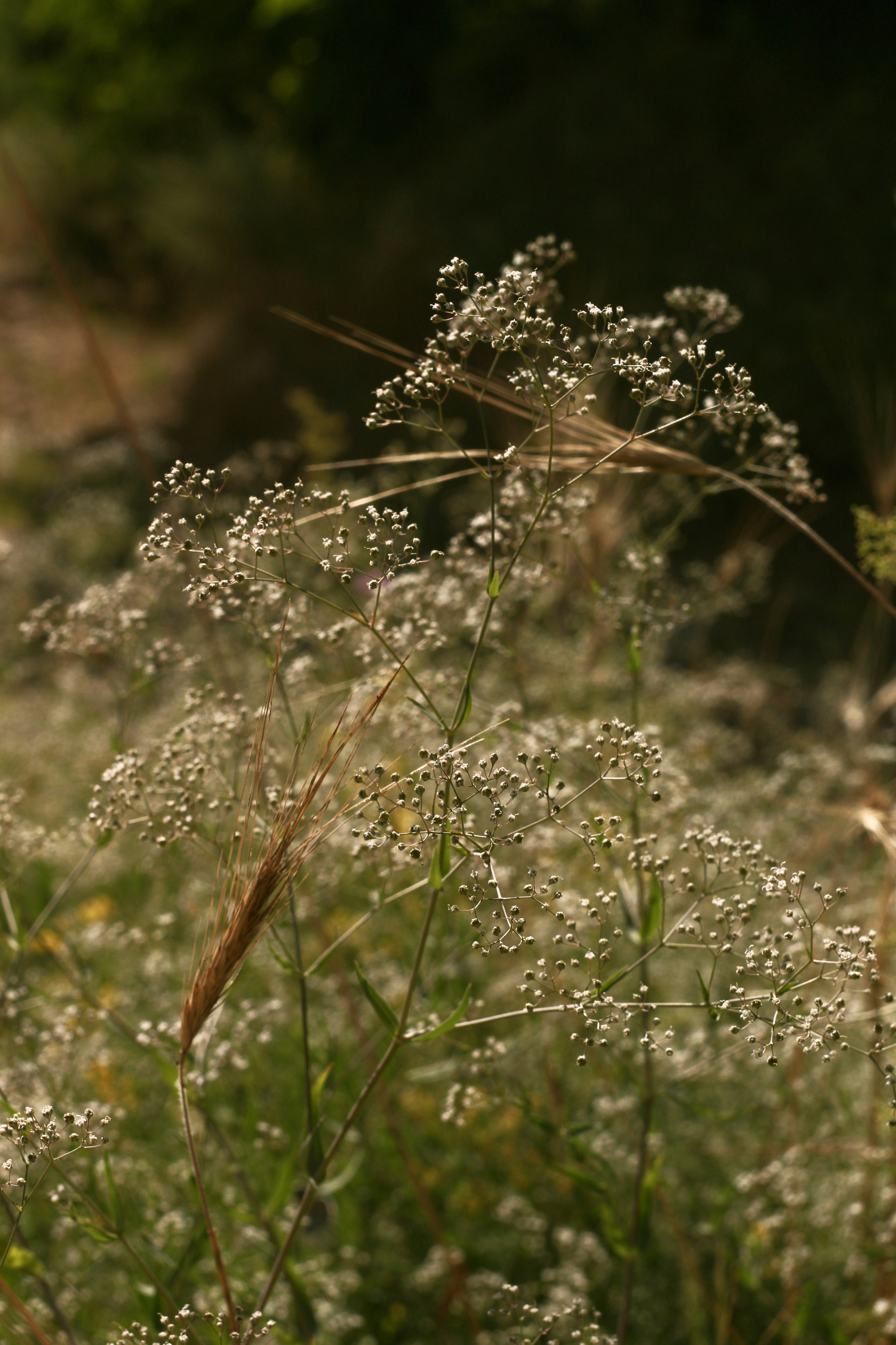 Photo by yana_eternal