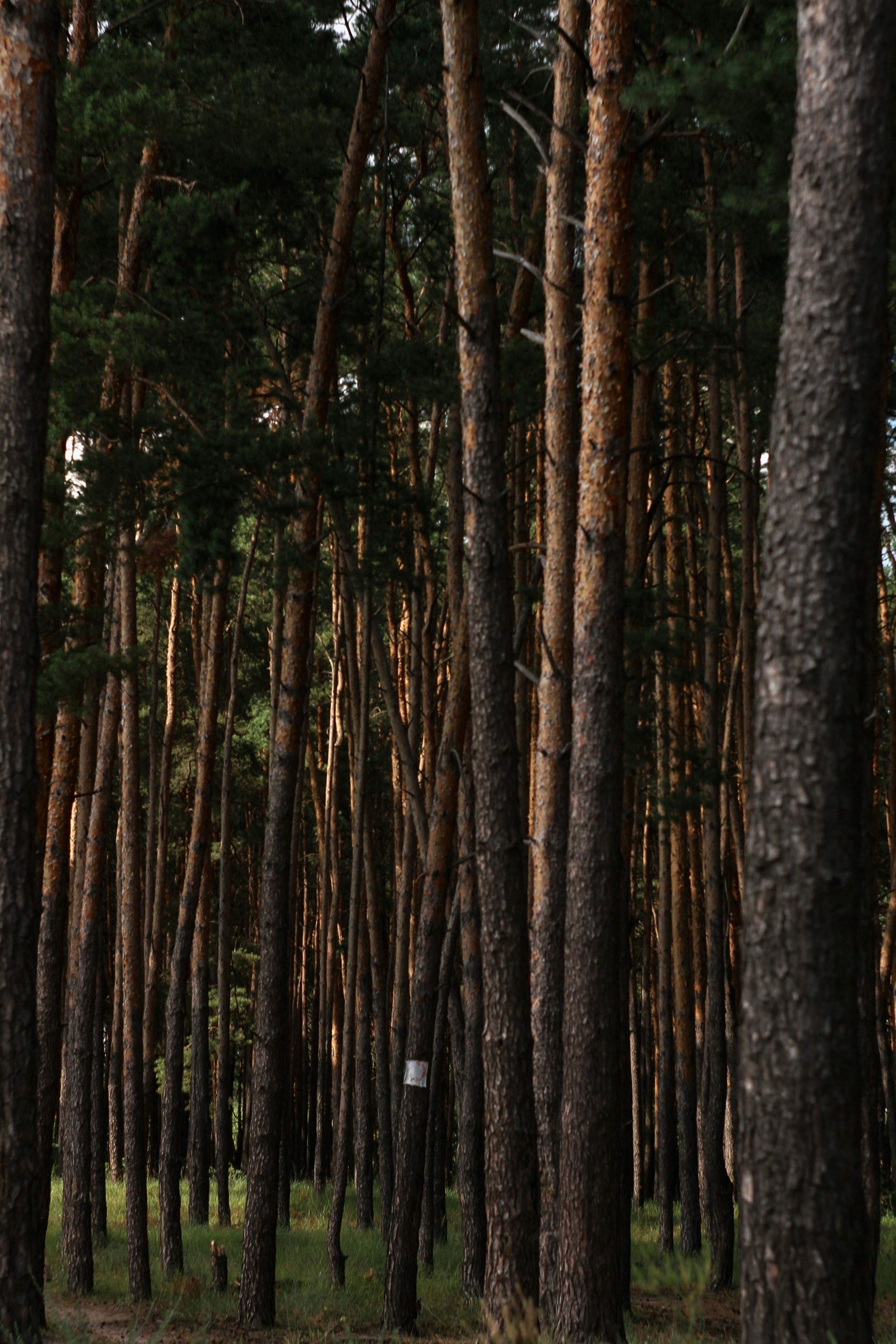 Photo by yana_eternal