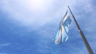 a flag on a pole
