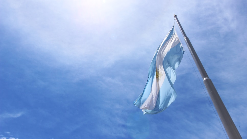 a flag on a pole