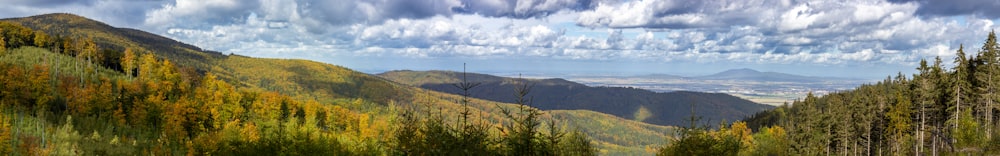 un paesaggio con alberi e colline