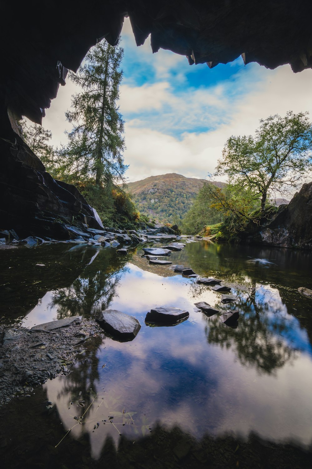 a view of a river with trees and rocks and mountains in the background