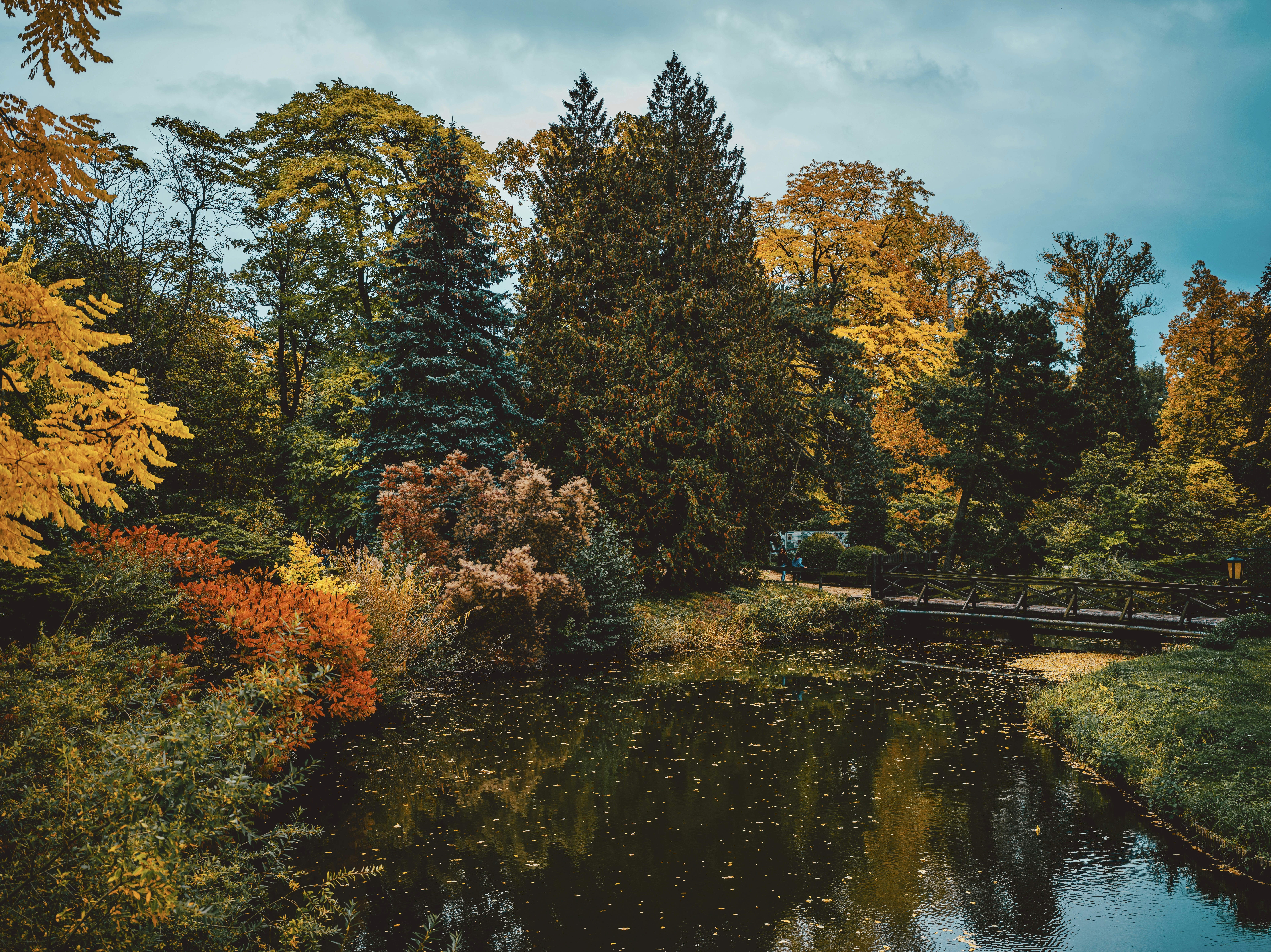 Photo by egorkomarov