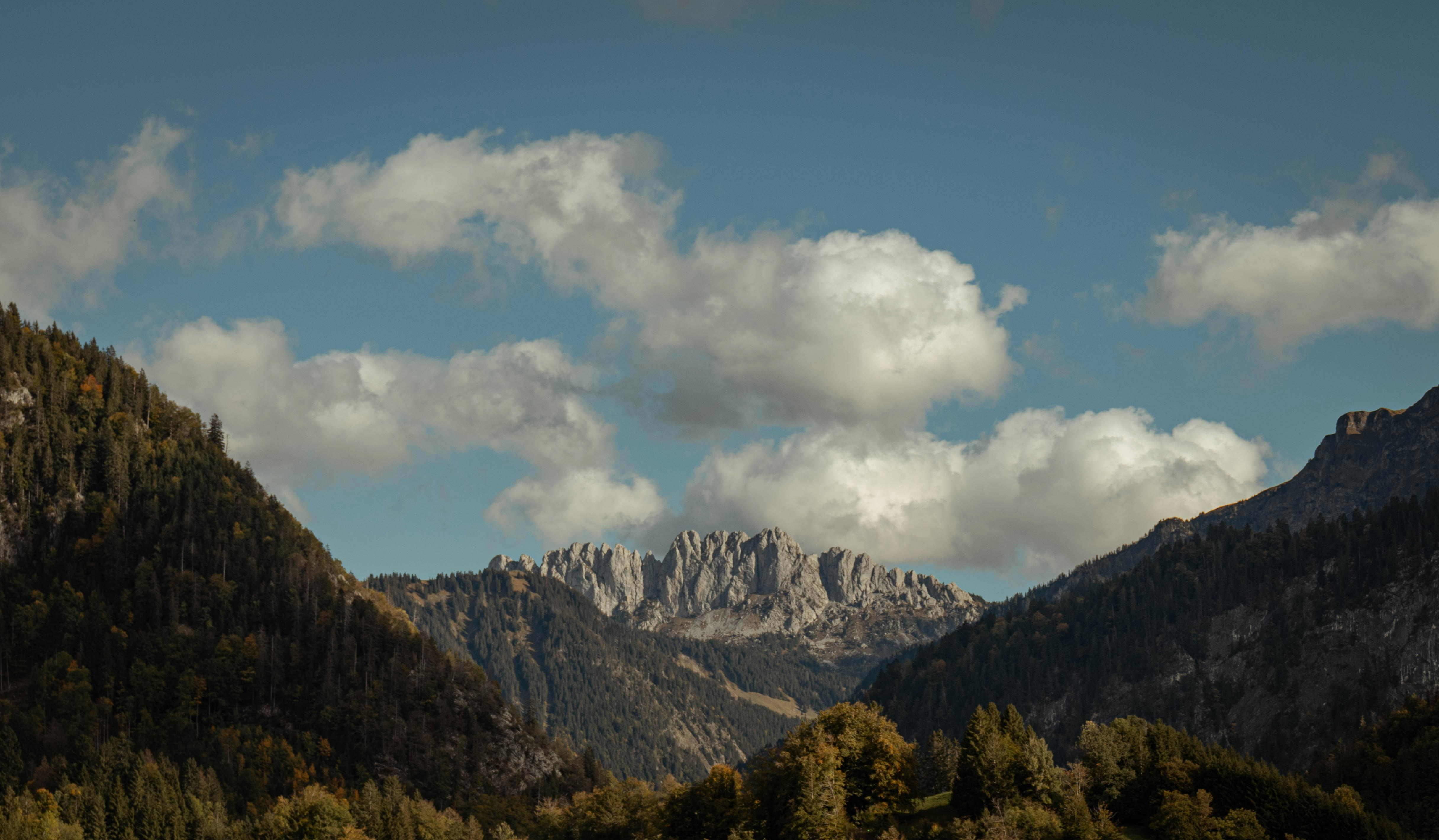 Photo by perspectivenature