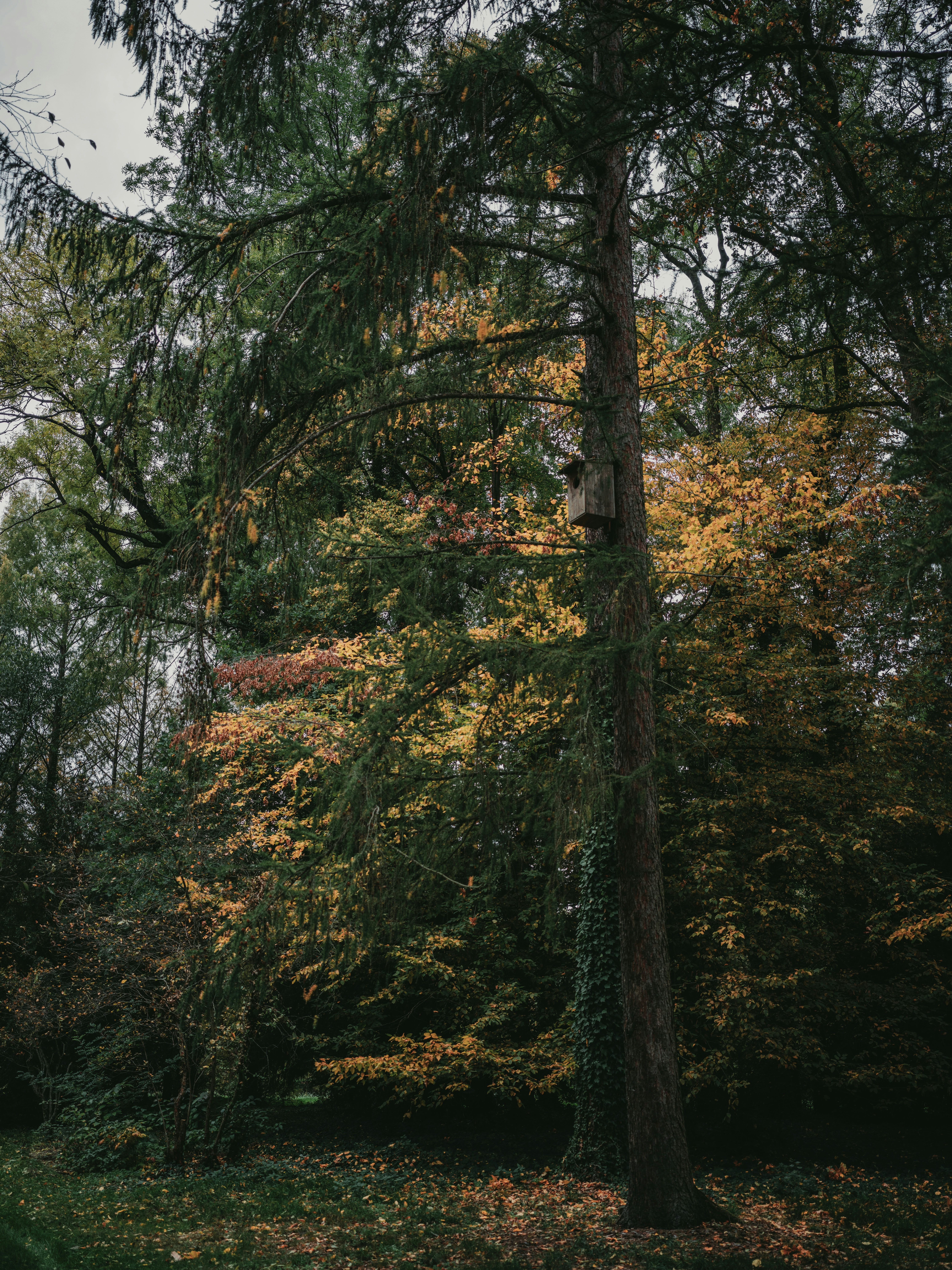 Photo by egorkomarov