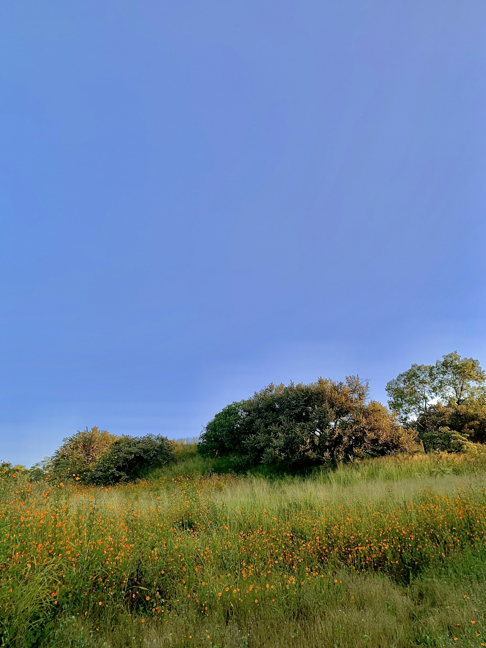 woman wearing yellow long-sleeved dress under white clouds and blue sky during daytime