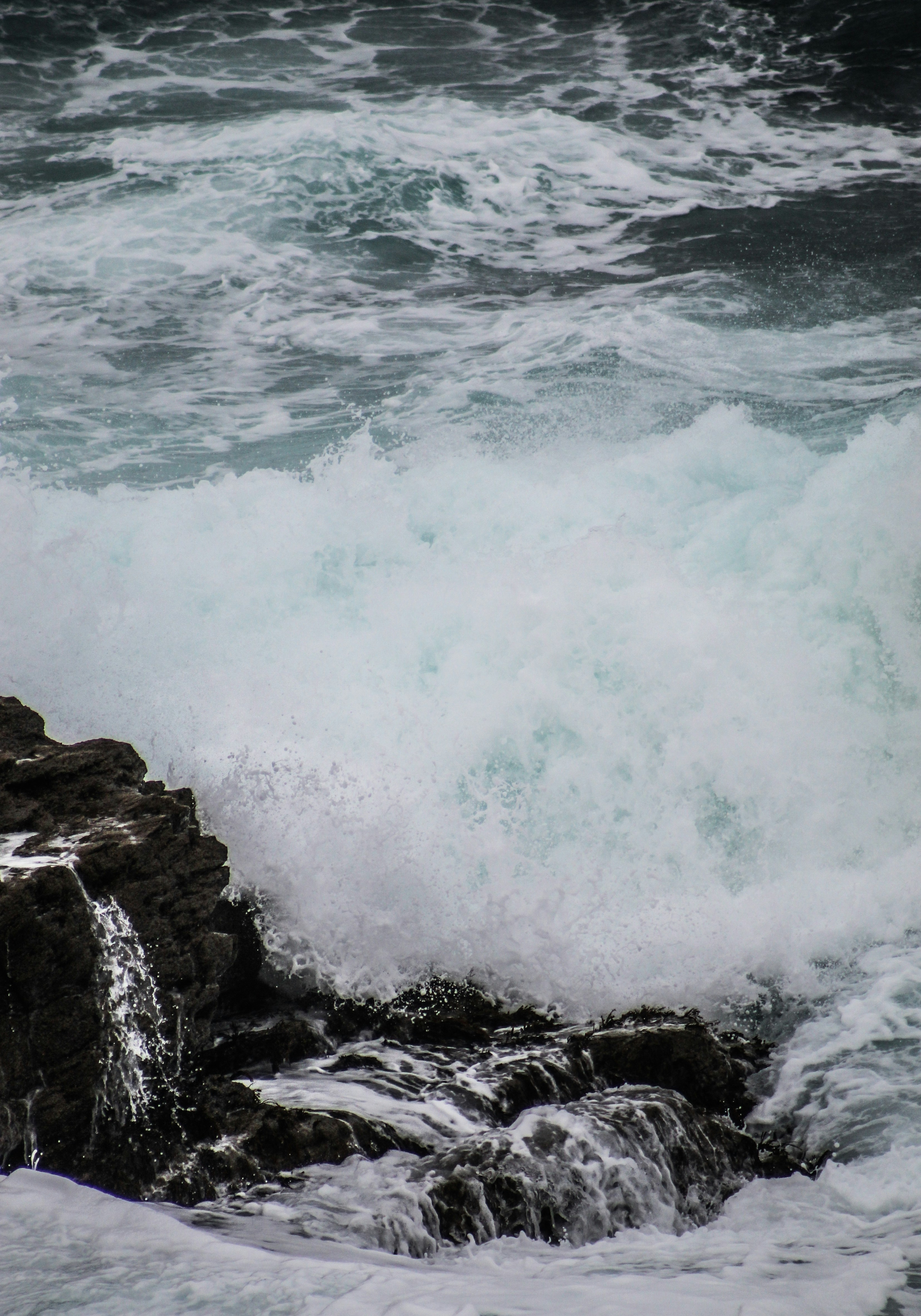 Photo by focalinsight